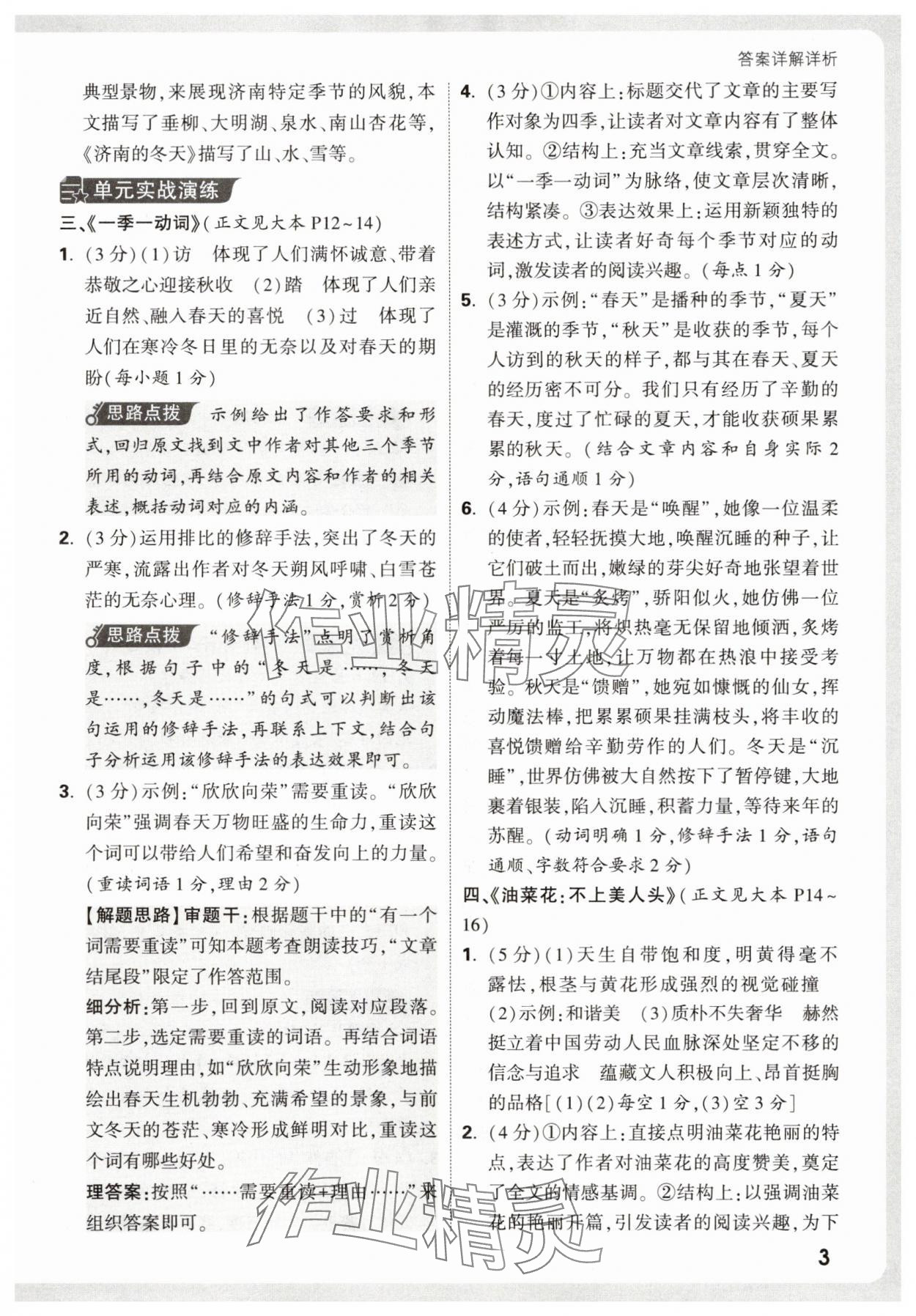 2026年万唯中考现代文阅读七年级语文人教版&nbsp;第3页