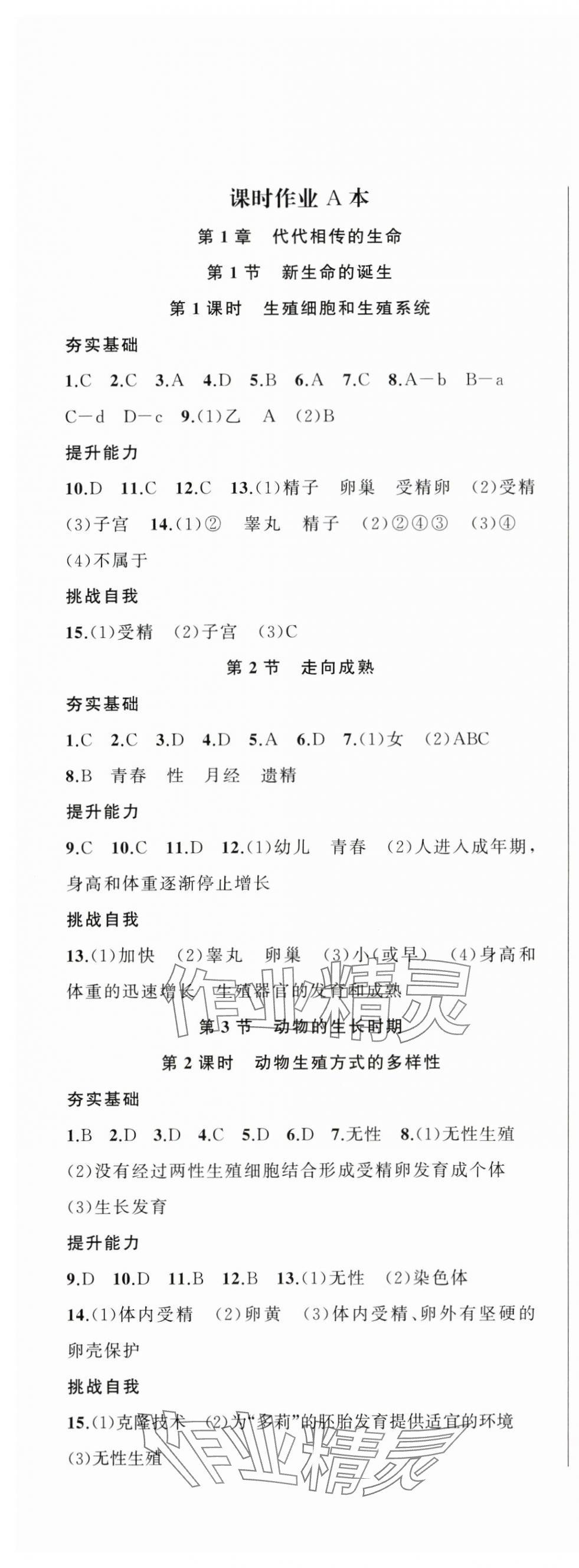 2024年名师面对面同步作业本七年级科学下册浙教版浙江专版 第1页