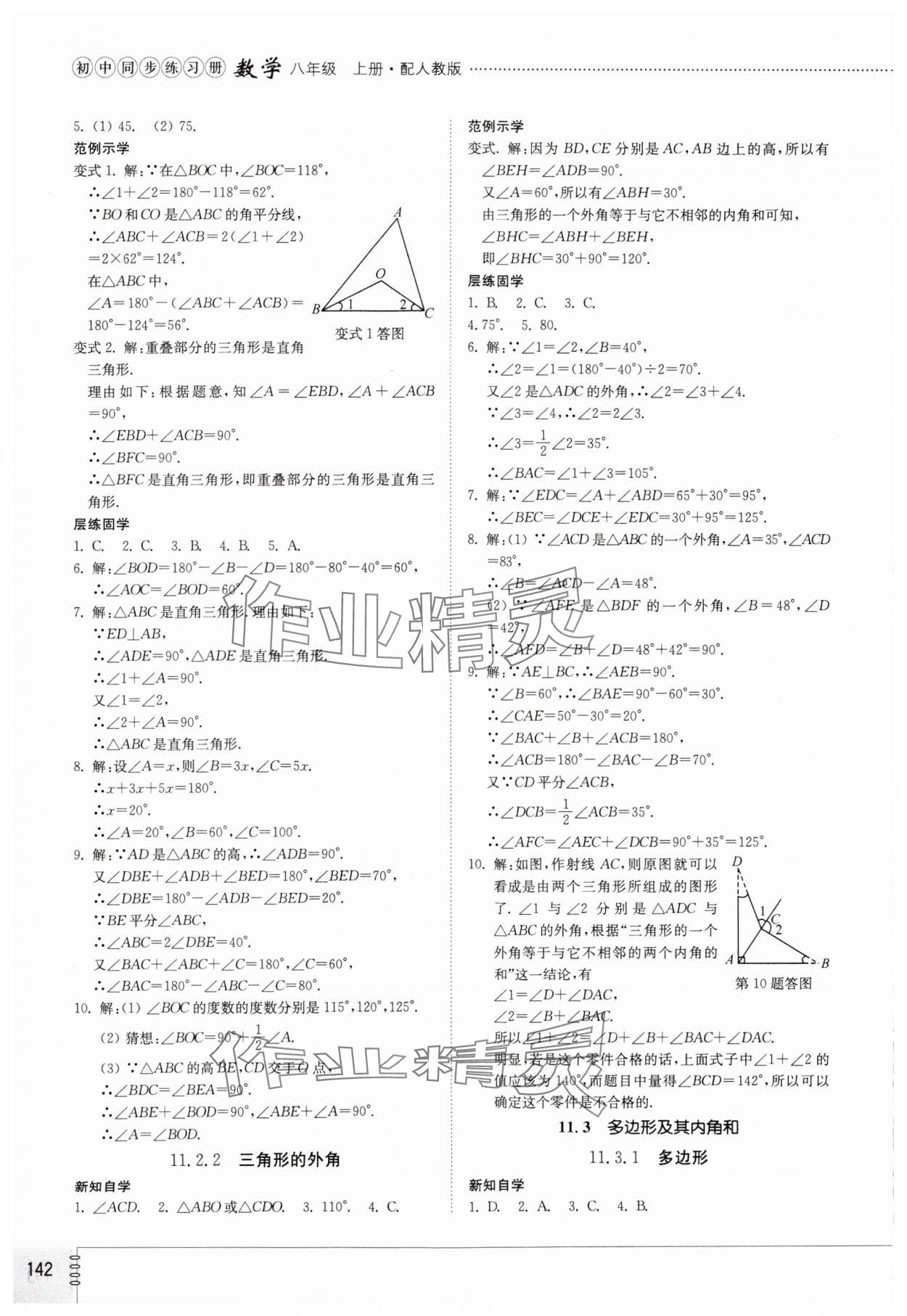 2023年同步练习册山东教育出版社八年级数学上册人教版 第2页