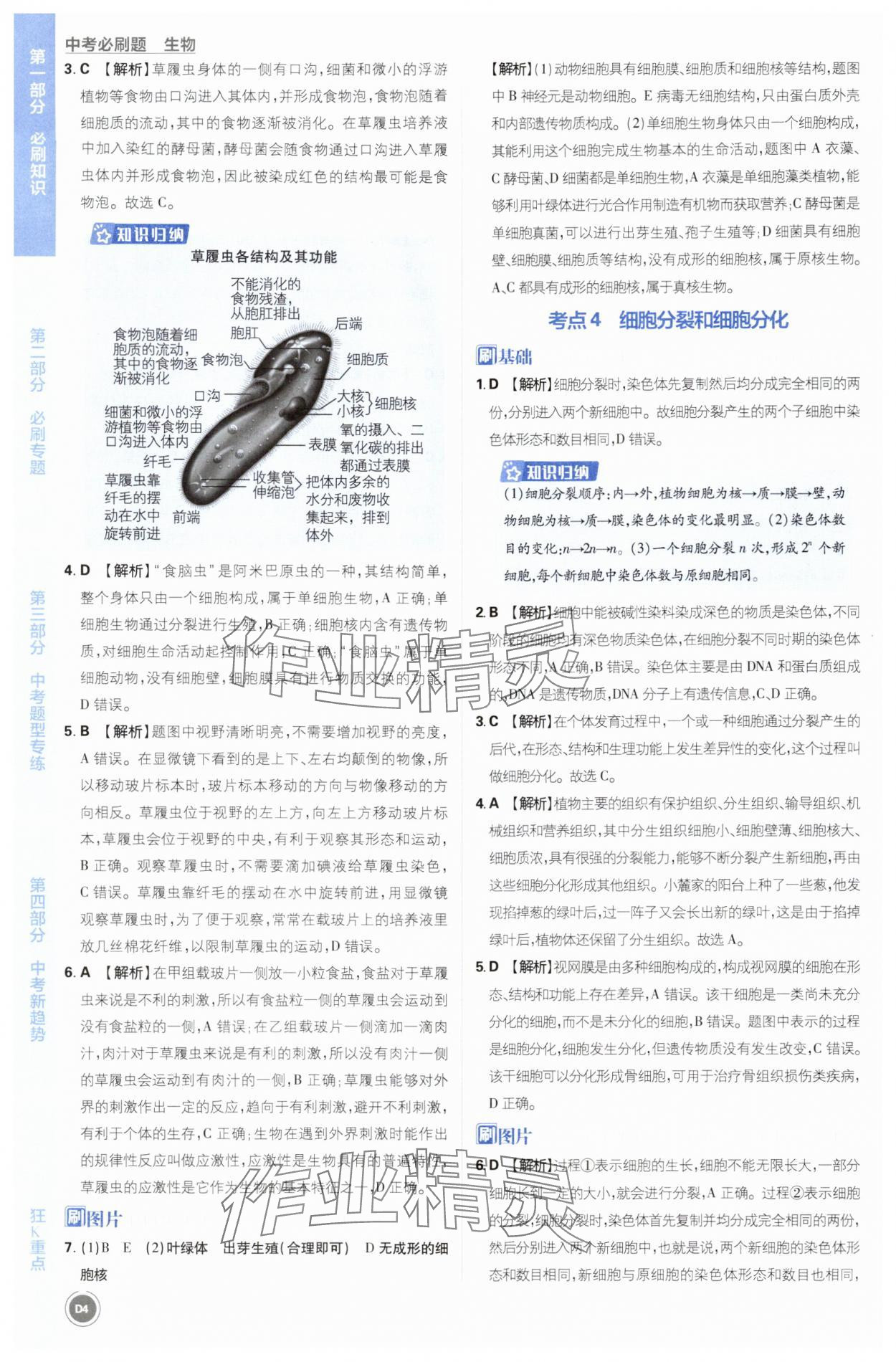 2025年中考必刷题开明出版社生物&nbsp;第4页
