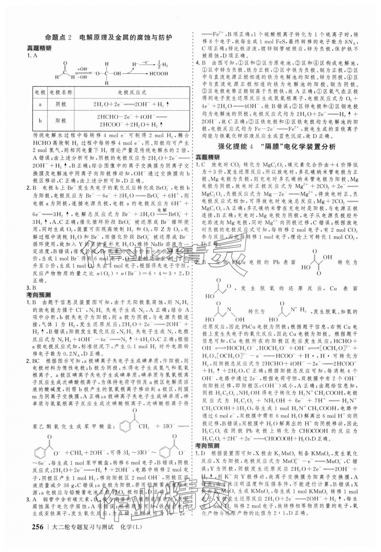 2025年高考領(lǐng)航化學(xué)大二輪專(zhuān)題復(fù)習(xí)與測(cè)試 參考答案第11頁(yè)