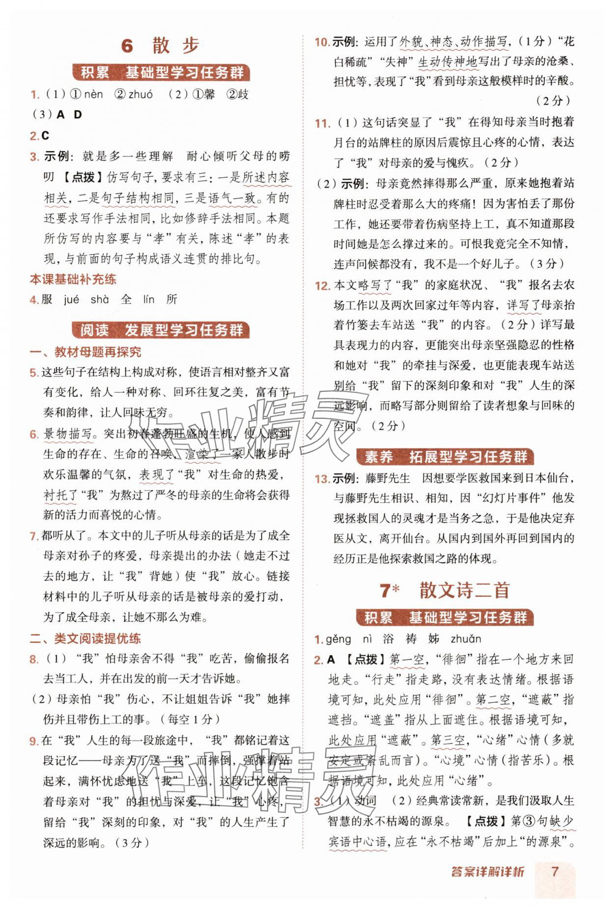 2025年綜合應用創(chuàng)新題典中點七年級語文上冊人教版 第7頁
