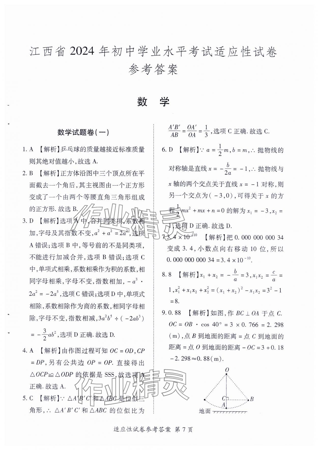 2024年江西省初中學業水平考試適應性試卷合訂本 第9頁