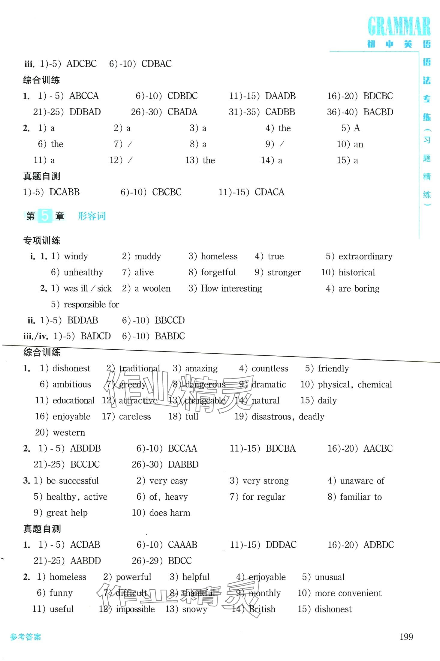 2024年初中英語語法專練九年級全一冊 第4頁