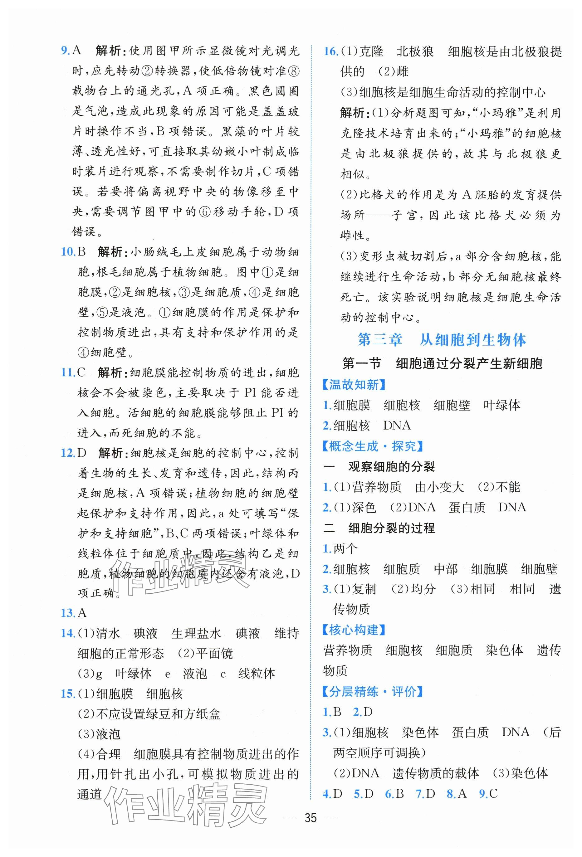 2025年課時(shí)練人民教育出版社七年級(jí)生物上冊(cè)人教版 第7頁