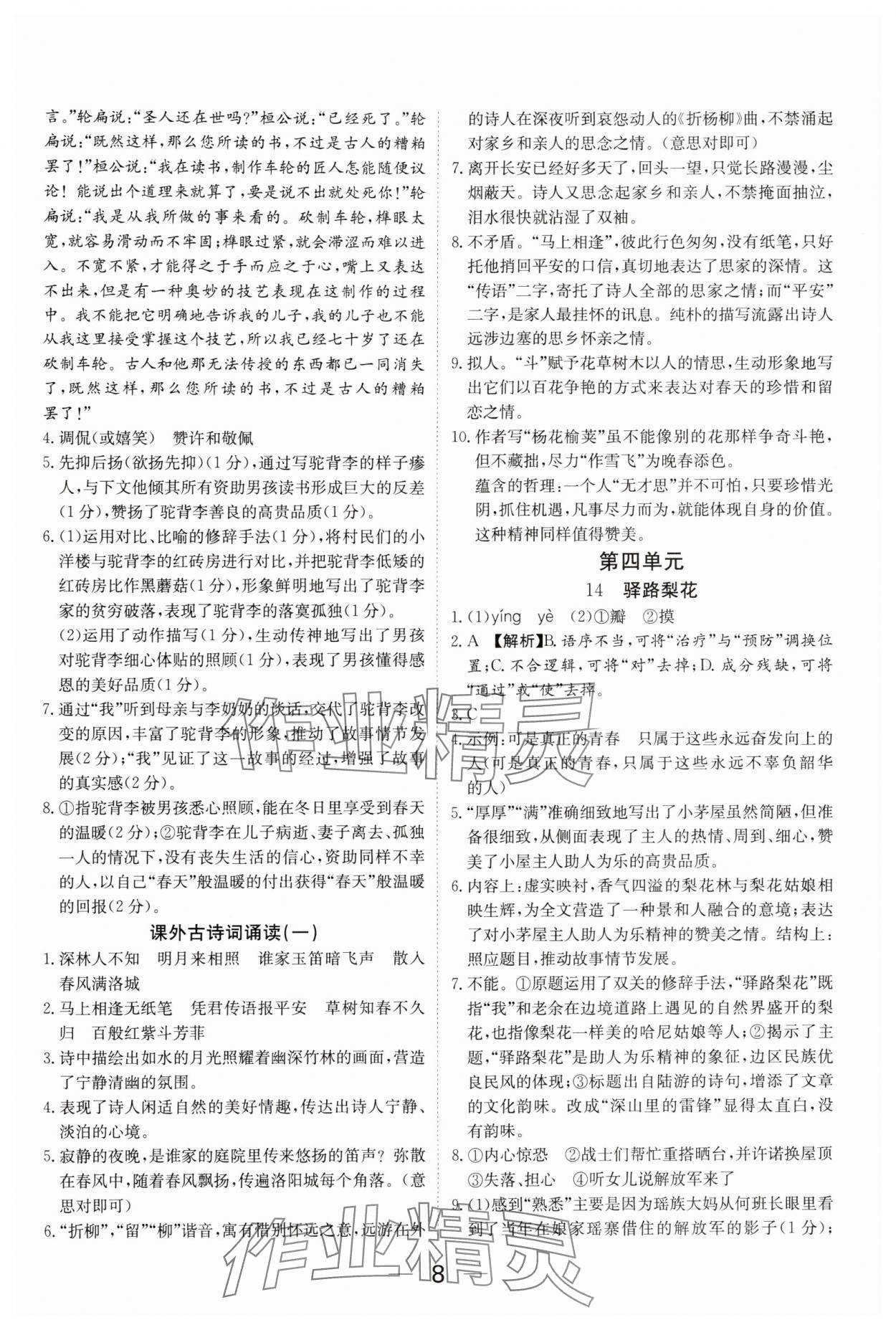 2025年我的作業(yè)七年級語文下冊人教版河南專版 參考答案第8頁