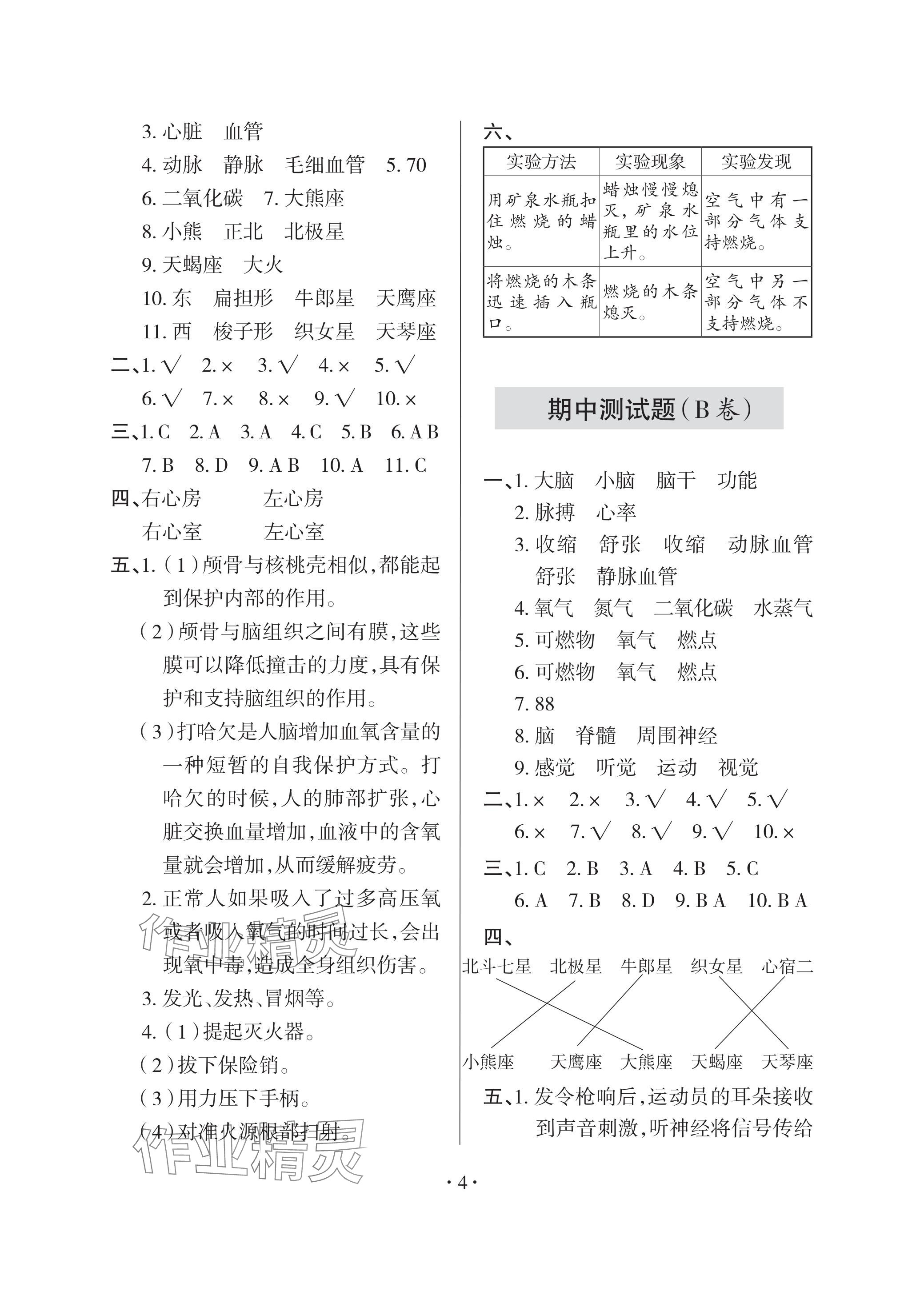 2024年單元自測試卷青島出版社五年級科學下冊青島版 參考答案第4頁