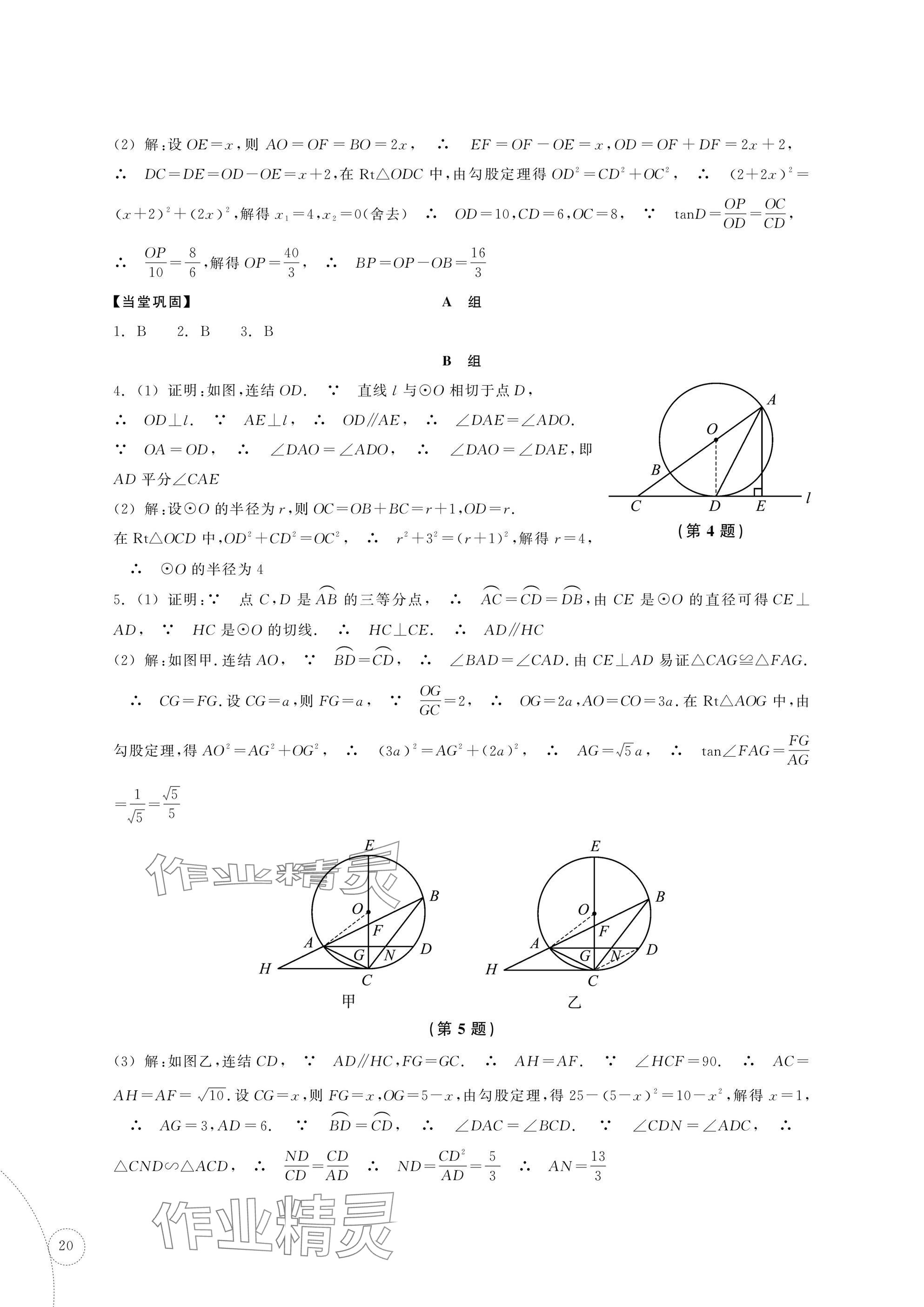 2025年單元學習指導與練習復習資源中考數學 參考答案第20頁