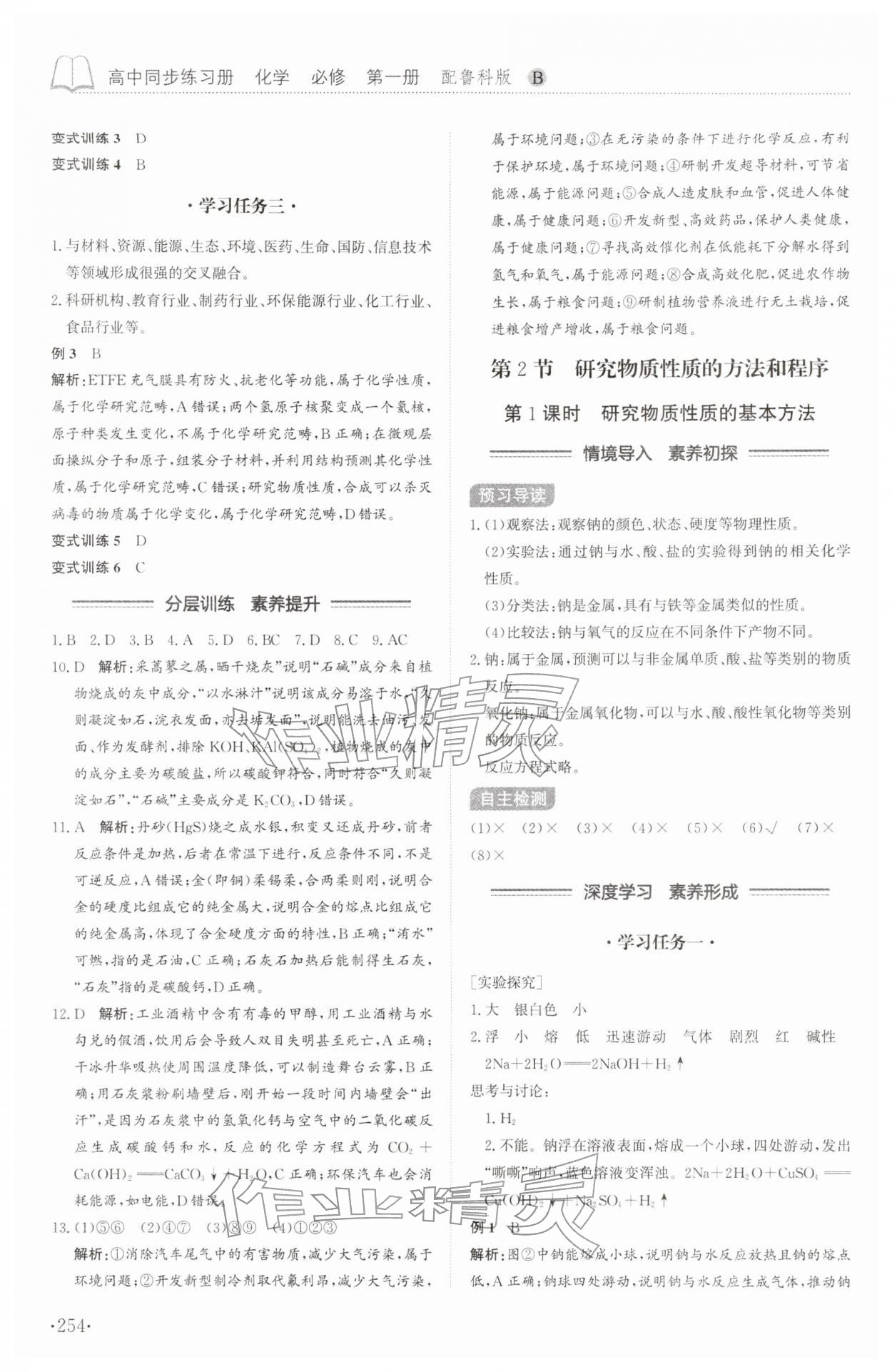 2025年同步练习册山东科学技术出版社高中化学必修第一册鲁科版 第2页