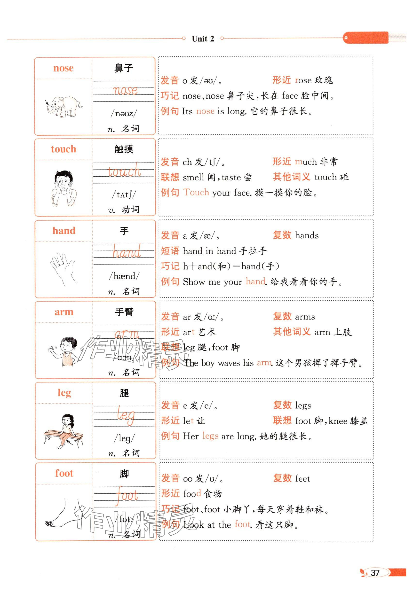 2025年教材課本三年級英語下冊外研版&nbsp;參考答案第37頁