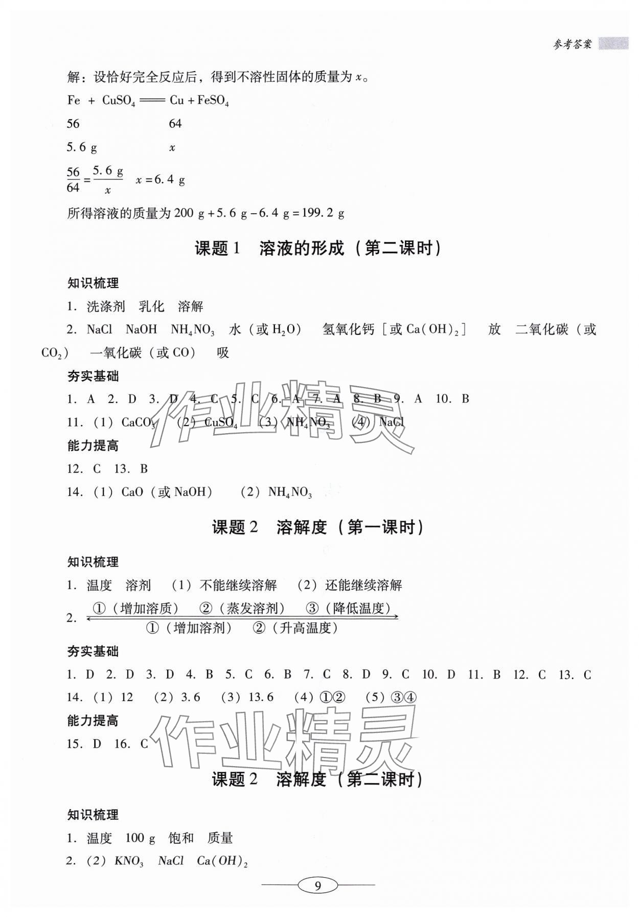 2024年南方新課堂金牌學案九年級化學下冊人教版珠海專版 參考答案第9頁