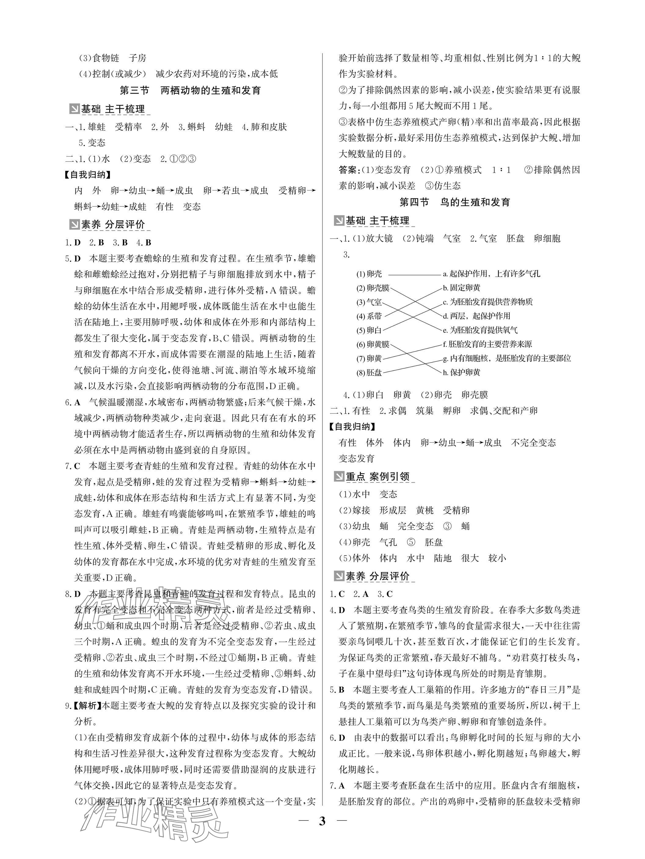 2025年南方新課堂金牌學(xué)案八年級生物下冊人教版深圳專版 參考答案第3頁