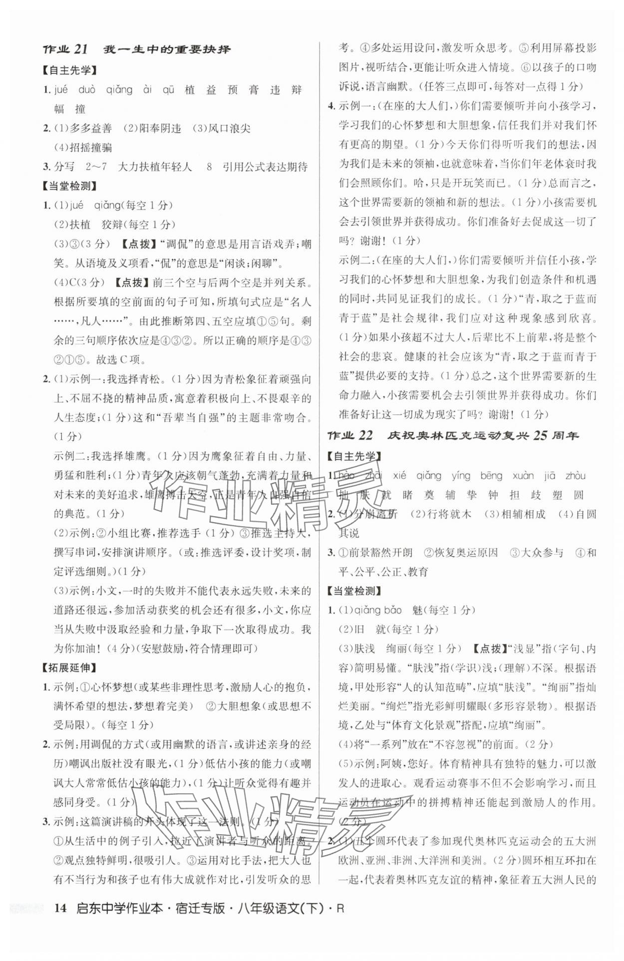 2025年啟東中學(xué)作業(yè)本八年級(jí)語(yǔ)文下冊(cè)人教版宿遷專版 第14頁(yè)