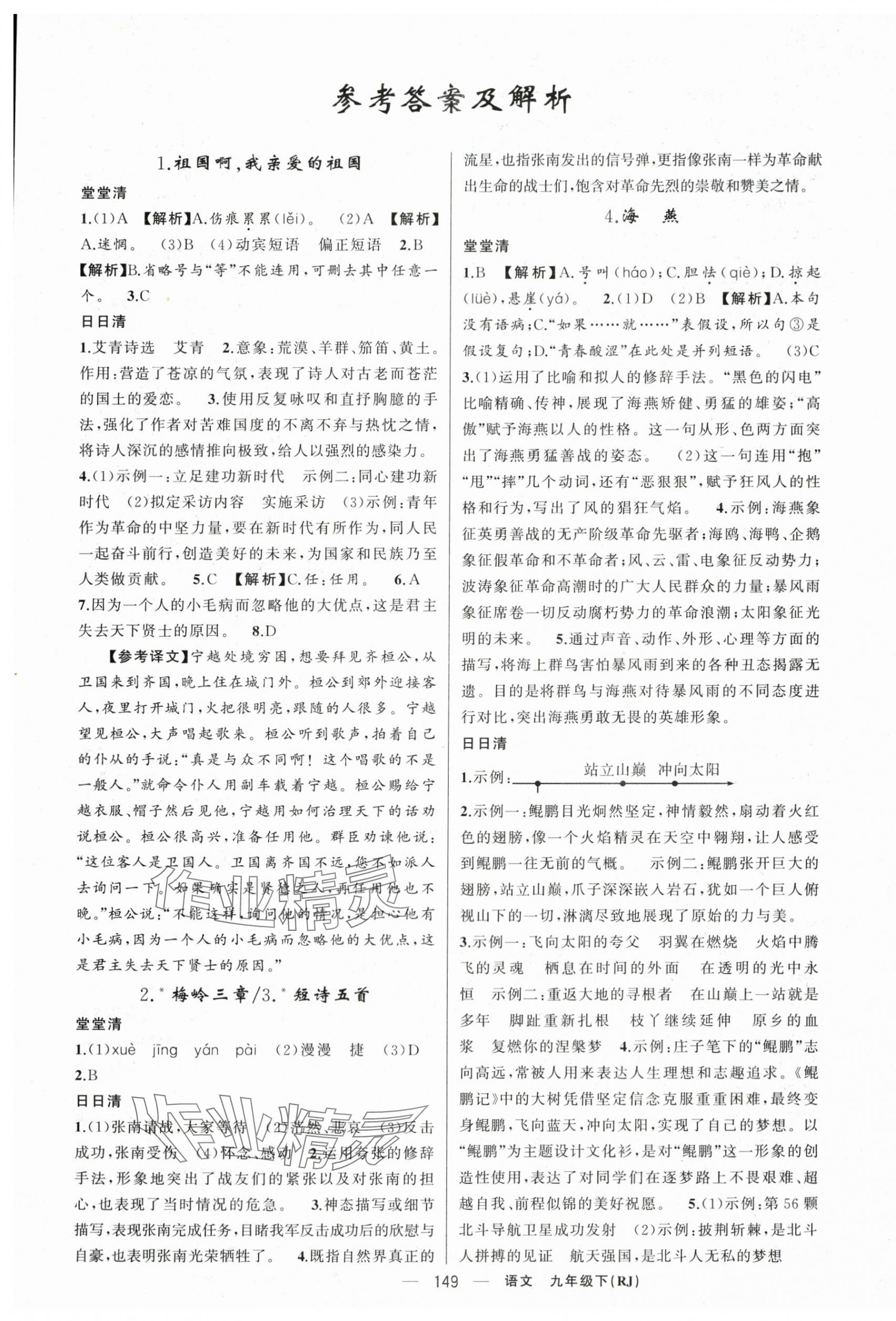 2024年四清導(dǎo)航九年級語文下冊人教版黃岡專版 第1頁