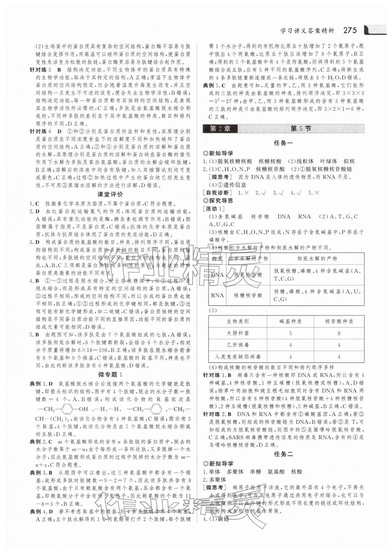 2025年金版新学案高中生物必修1人教版 参考答案第6页