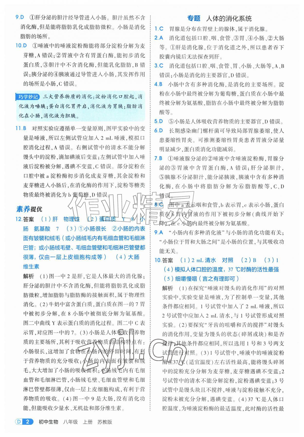 2026年5年中考3年模拟八年级生物上册苏教版&nbsp;第2页