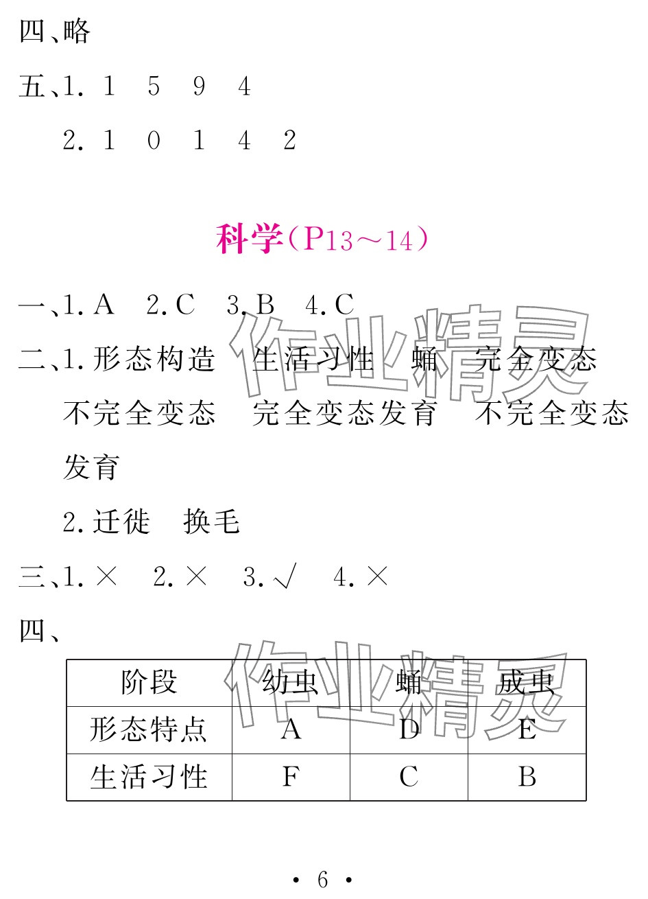 2025年天舟文化精彩暑假團(tuán)結(jié)出版社四年級(jí)綜合 參考答案第6頁