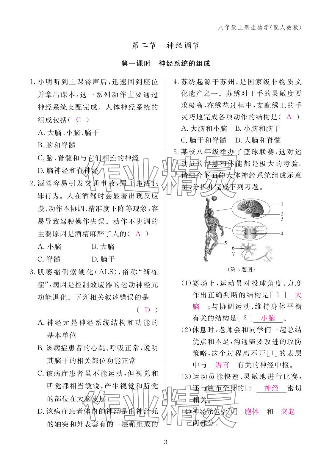 2025年作業本江西教育出版社八年級生物上冊人教版&nbsp;參考答案第3頁