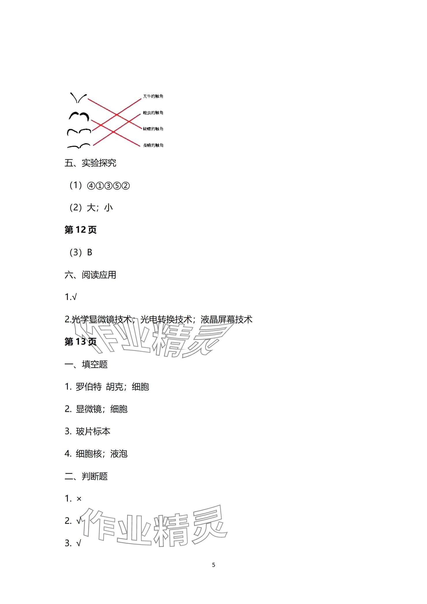 2024年學(xué)習(xí)之友六年級科學(xué)上冊教科版 參考答案第5頁