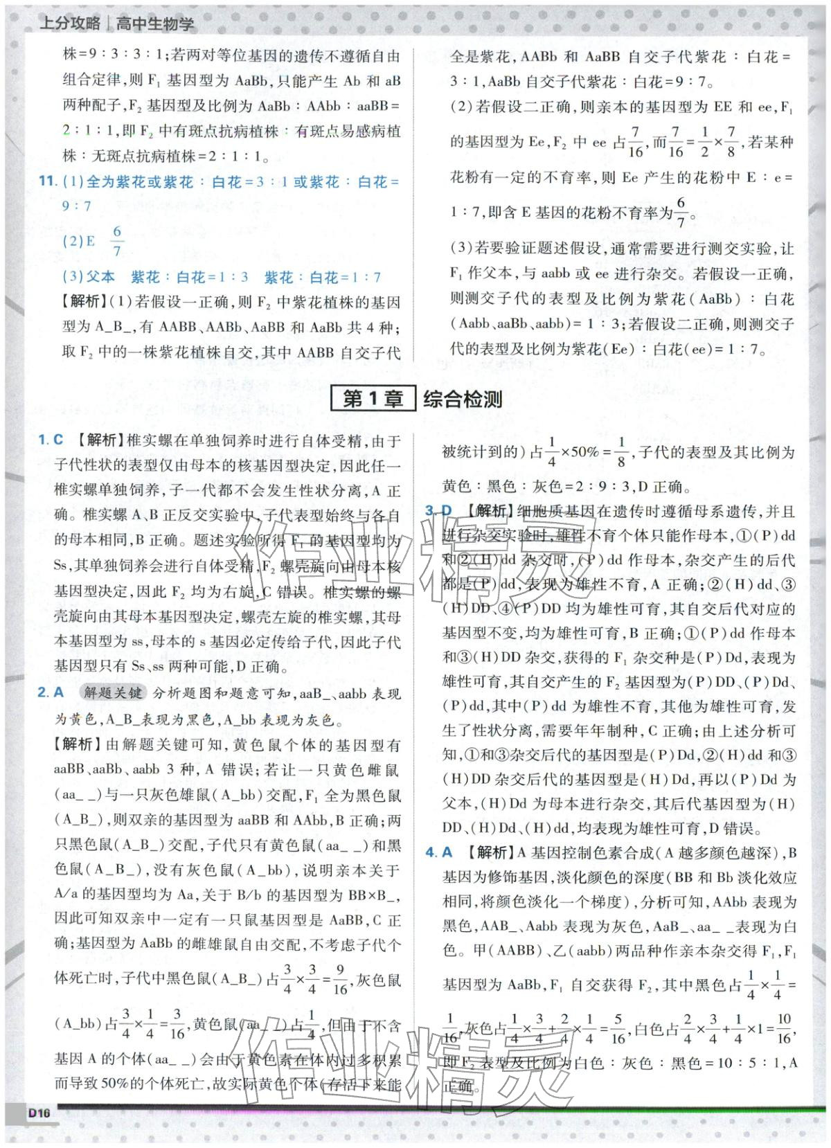 2025年上分攻略高中生物必修第二册人教版&nbsp;第16页