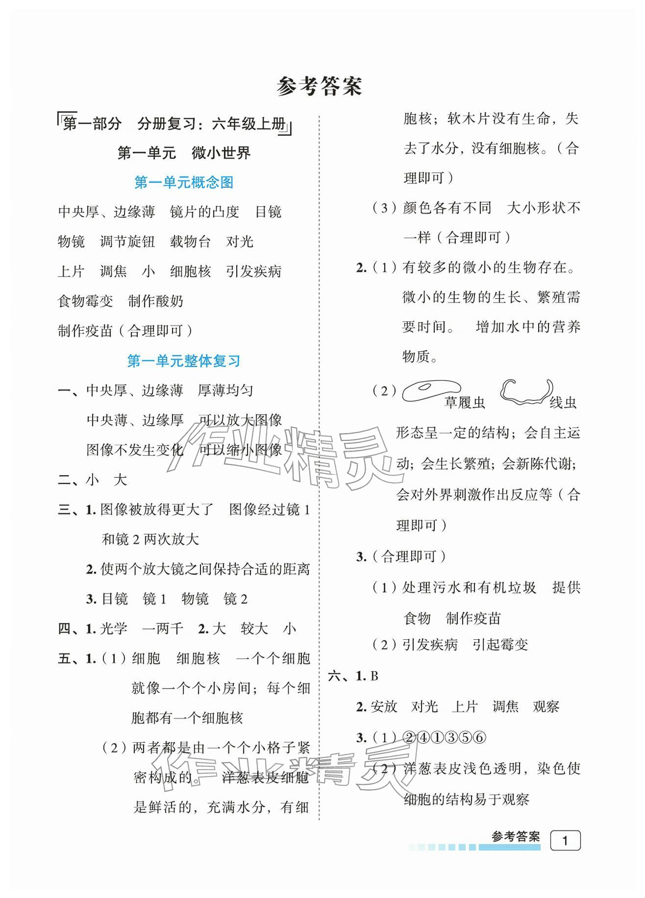 2026年名师面对面小学科学总复习&nbsp;参考答案第1页