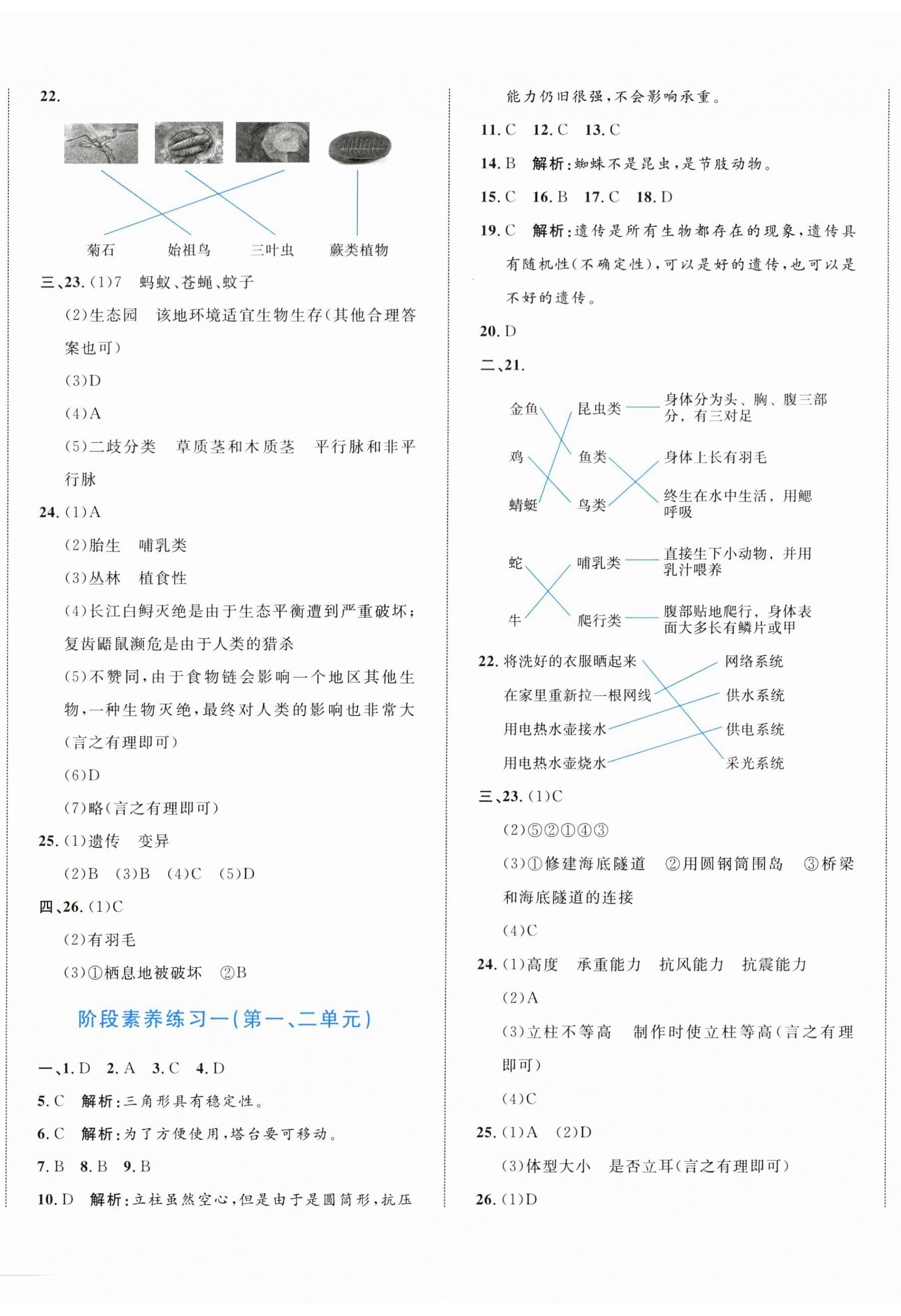 2025年浙点通提优卷六年级科学下册教科版 第2页