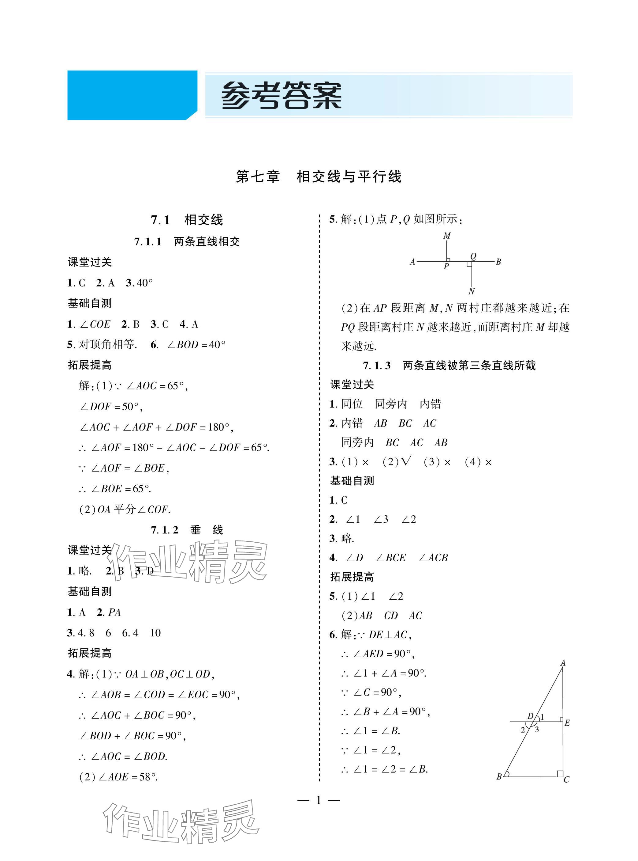 2025年新課堂同步學(xué)習(xí)與探究七年級數(shù)學(xué)下冊人教版金鄉(xiāng)專版 參考答案第1頁