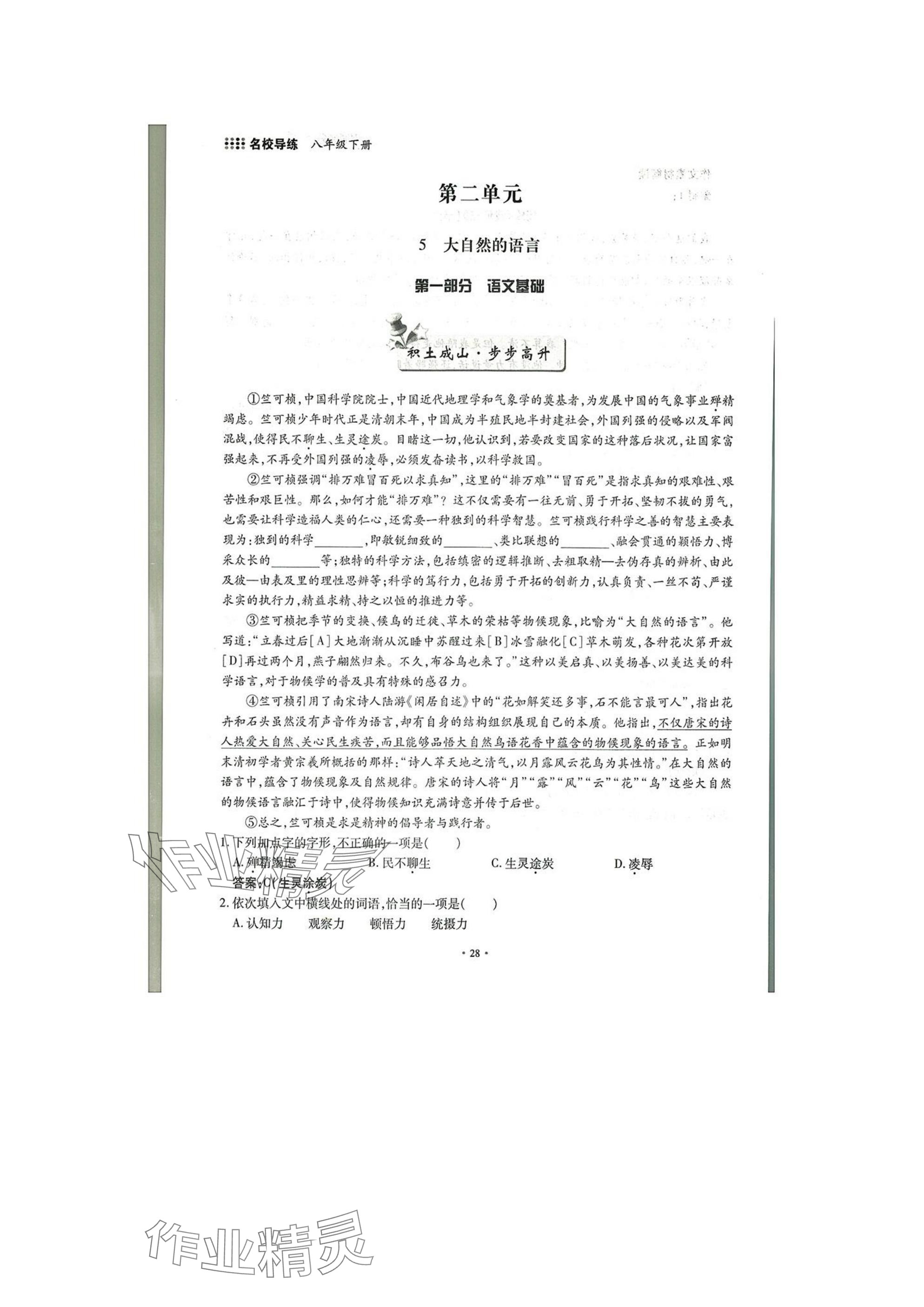 2025年名校導(dǎo)練八年級語文下冊人教版 參考答案第28頁