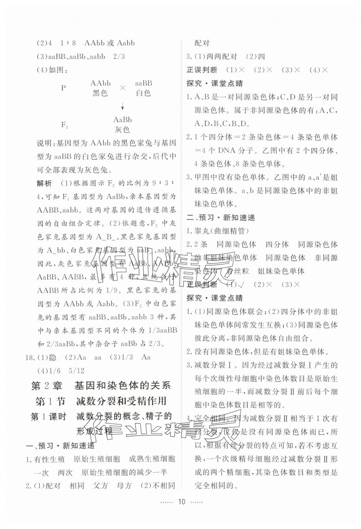 2024年三維隨堂精練高中生物必修2人教版 第10頁