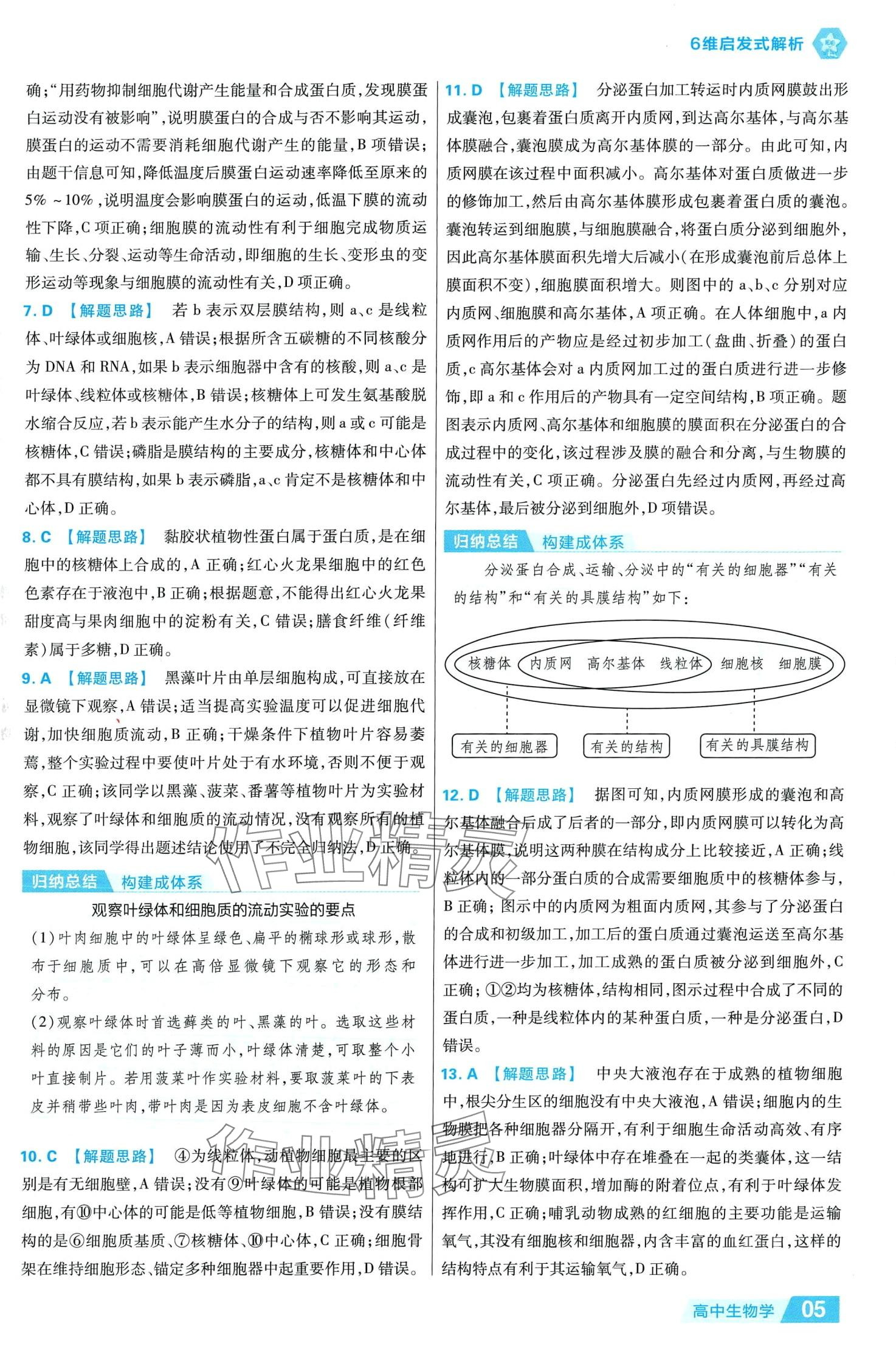 2024年金考卷活頁題選高中生物必修1人教版 參考答案第5頁