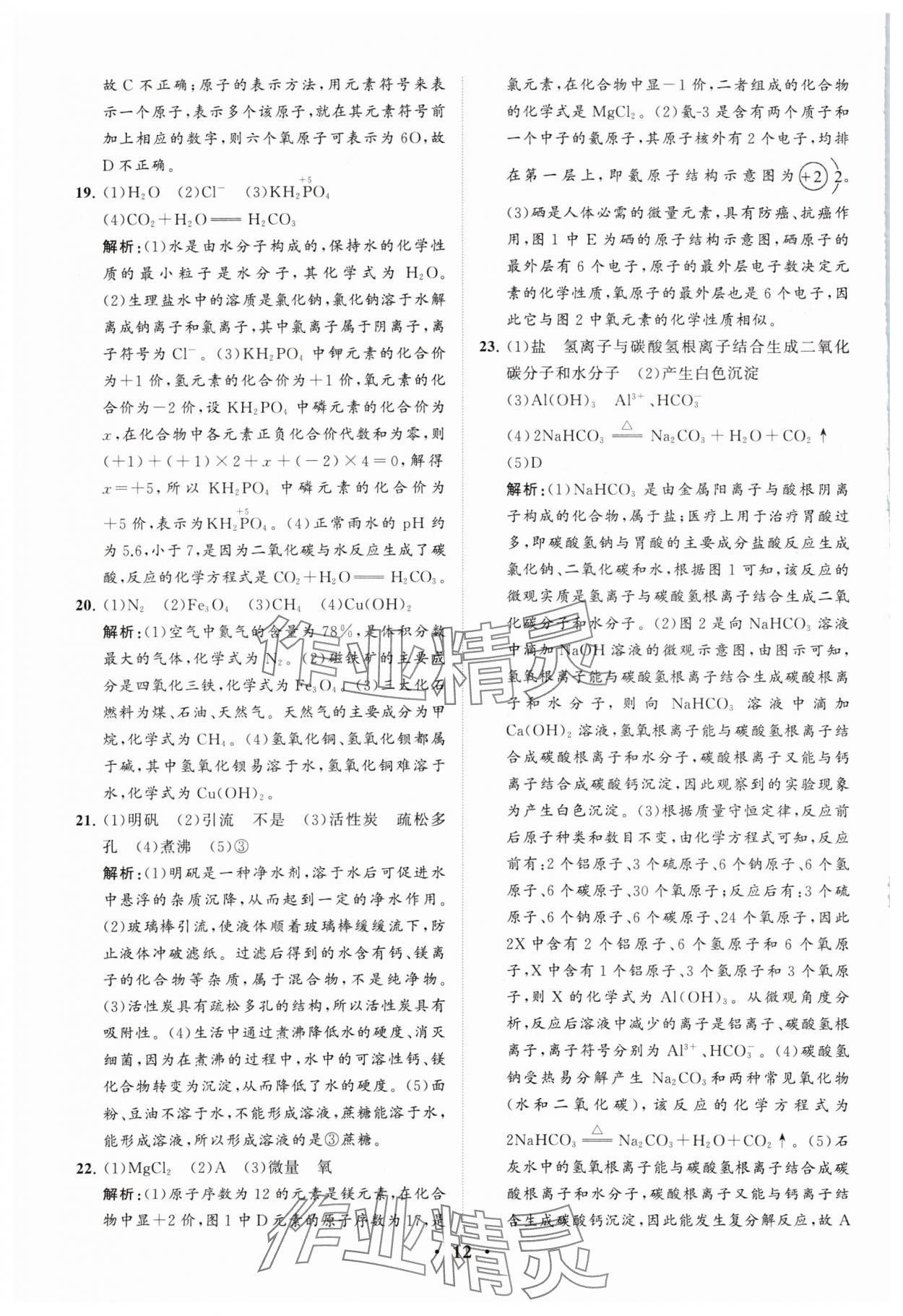 2024年初中总复习手册分层专题卷化学五四制烟台专版&nbsp;参考答案第12页