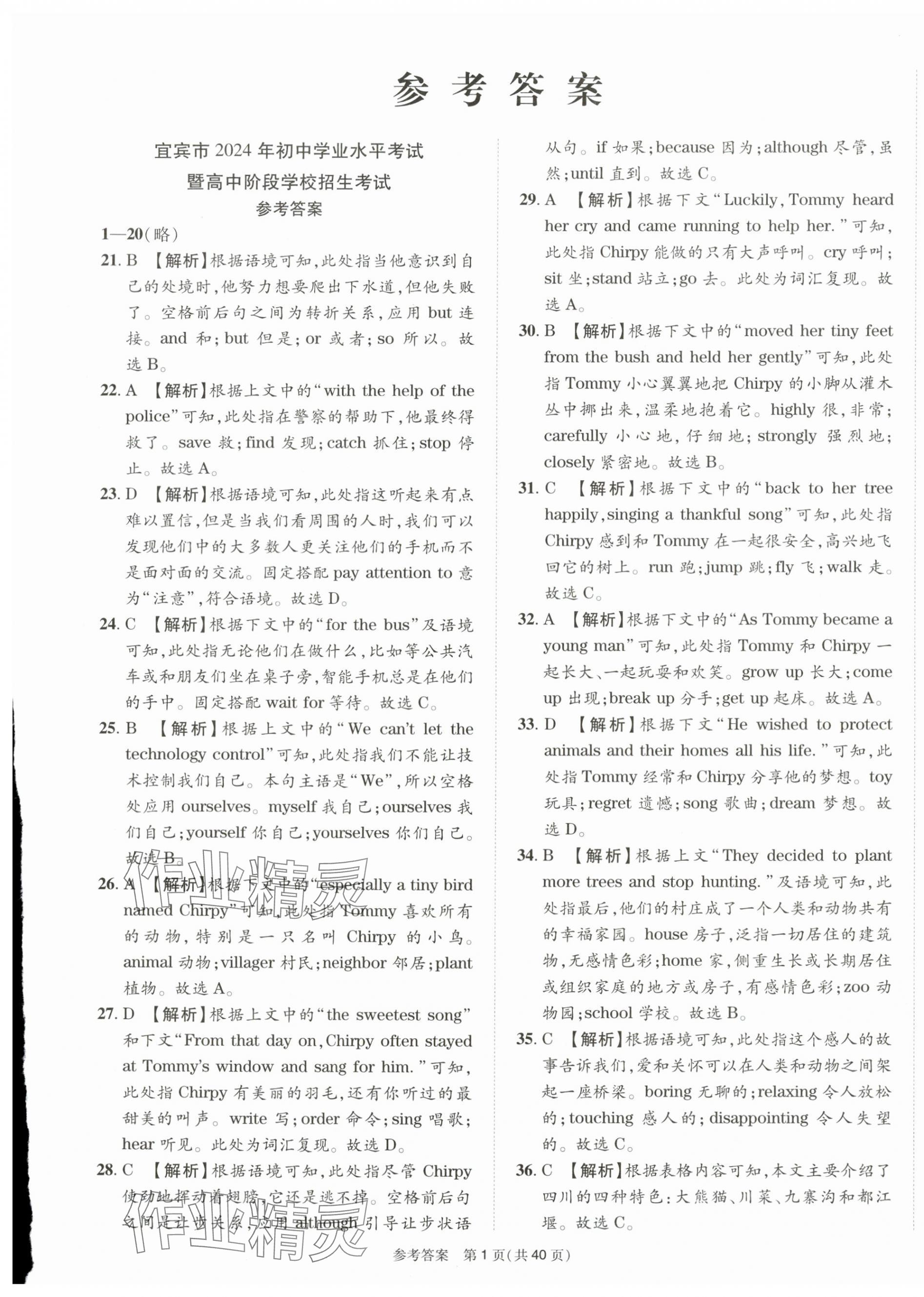 2025年中考模拟及真题精选英语中考四川专版 第1页