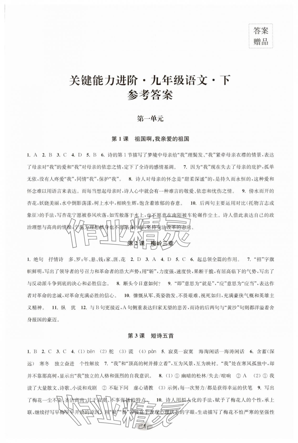 2025年關鍵能力進階九年級語文下冊人教版 第1頁
