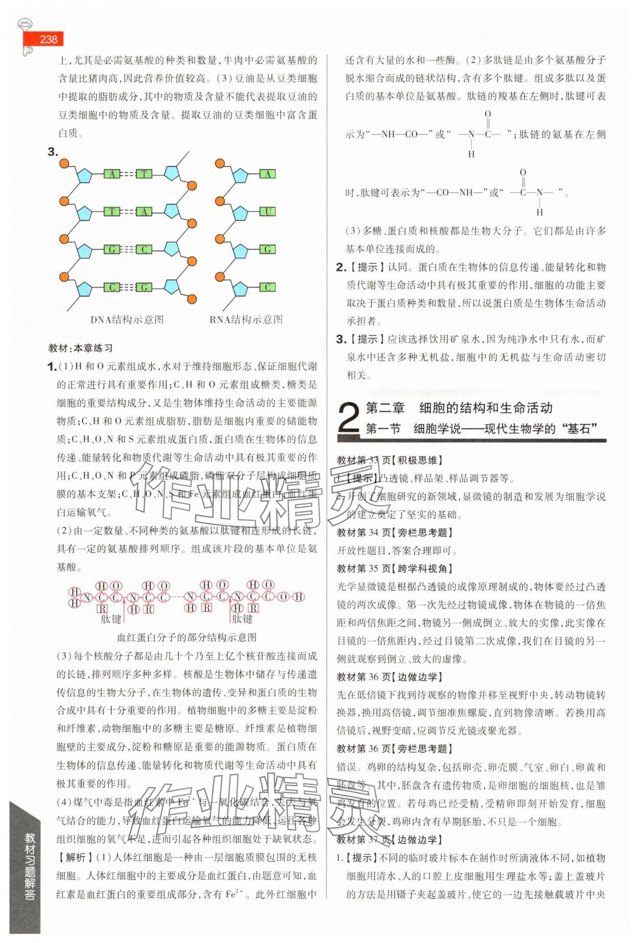 2025年教材課本高中生物必修第一冊蘇教版 參考答案第3頁