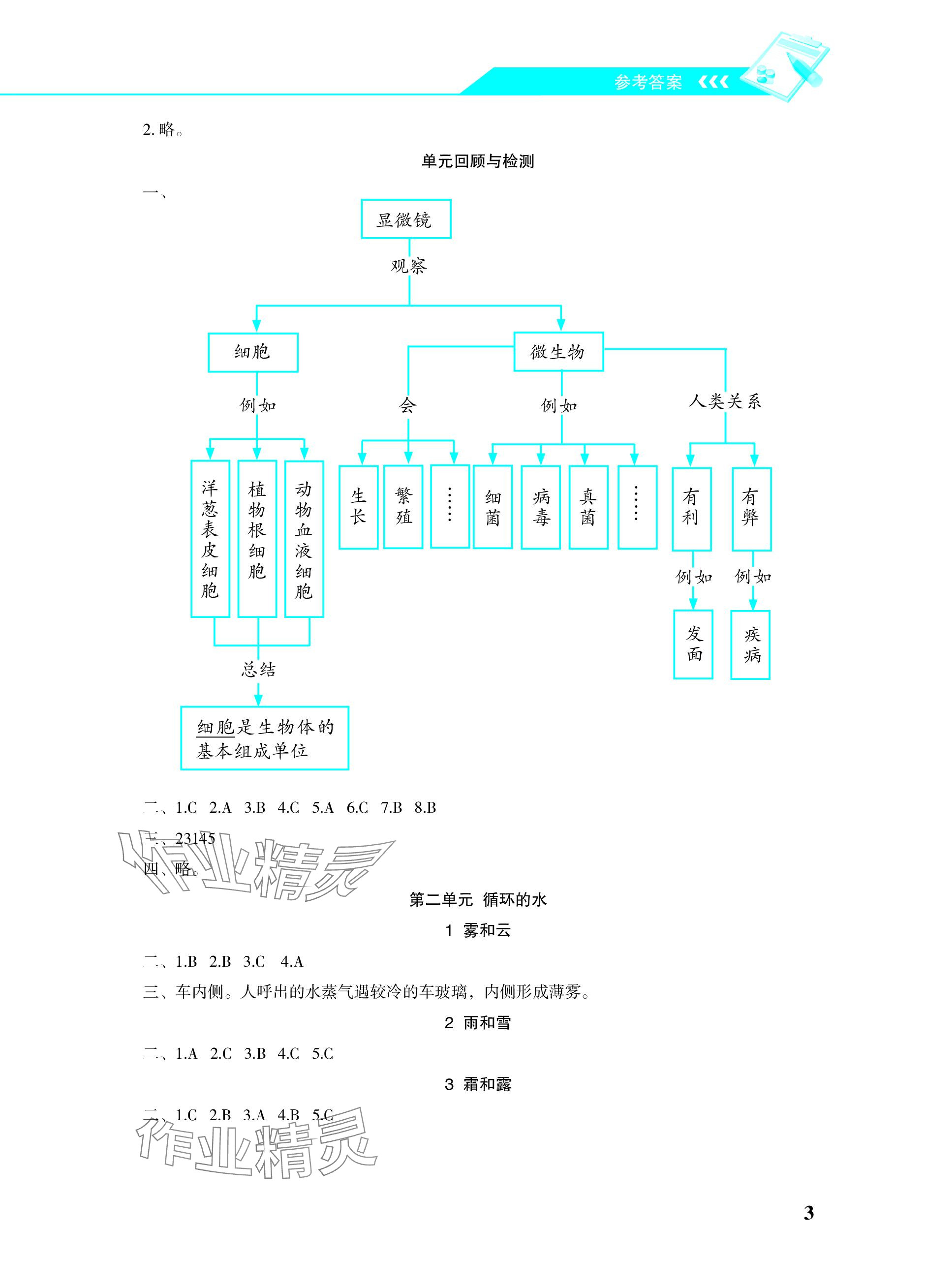 2023年科学探究与巩固六年级上册大象版&nbsp;参考答案第3页
