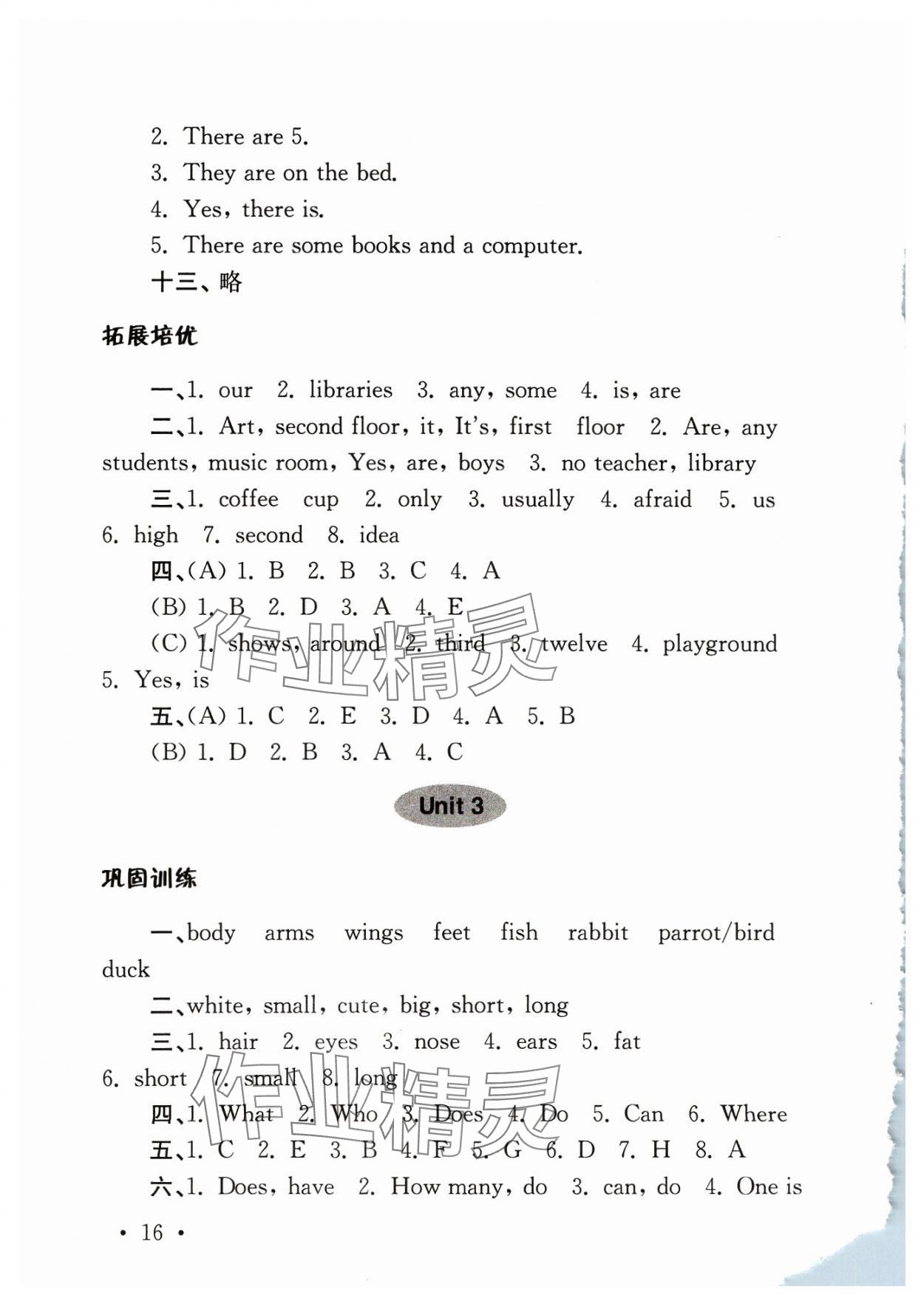 2023年領(lǐng)先一步培優(yōu)訓(xùn)練五年級英語上冊譯林版 第4頁