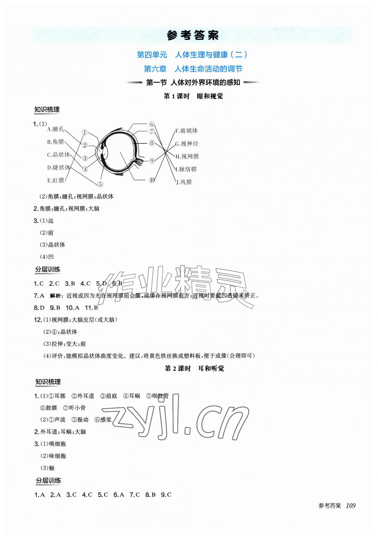 2026年新编基础训练八年级生物上册人教版&nbsp;第1页