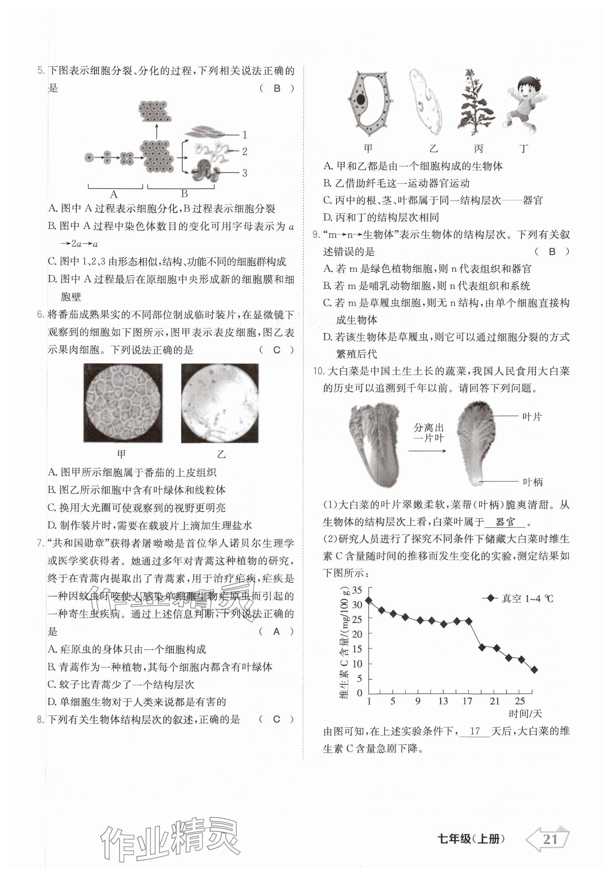 2024年金牌學(xué)練測(cè)七年級(jí)生物上冊(cè)人教版 參考答案第21頁(yè)