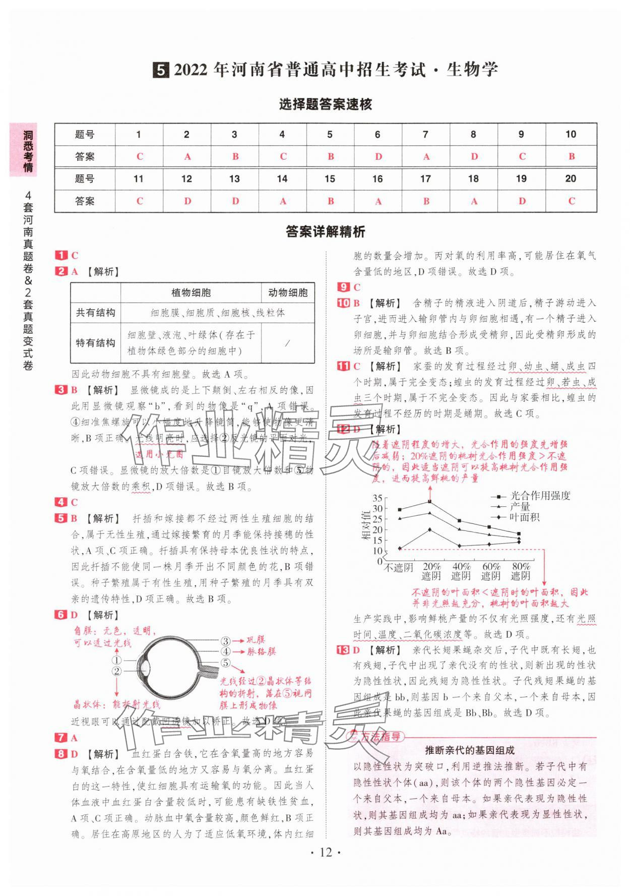 2025年鼎成中考河南中考真題匯編生物中考&nbsp;第12頁(yè)