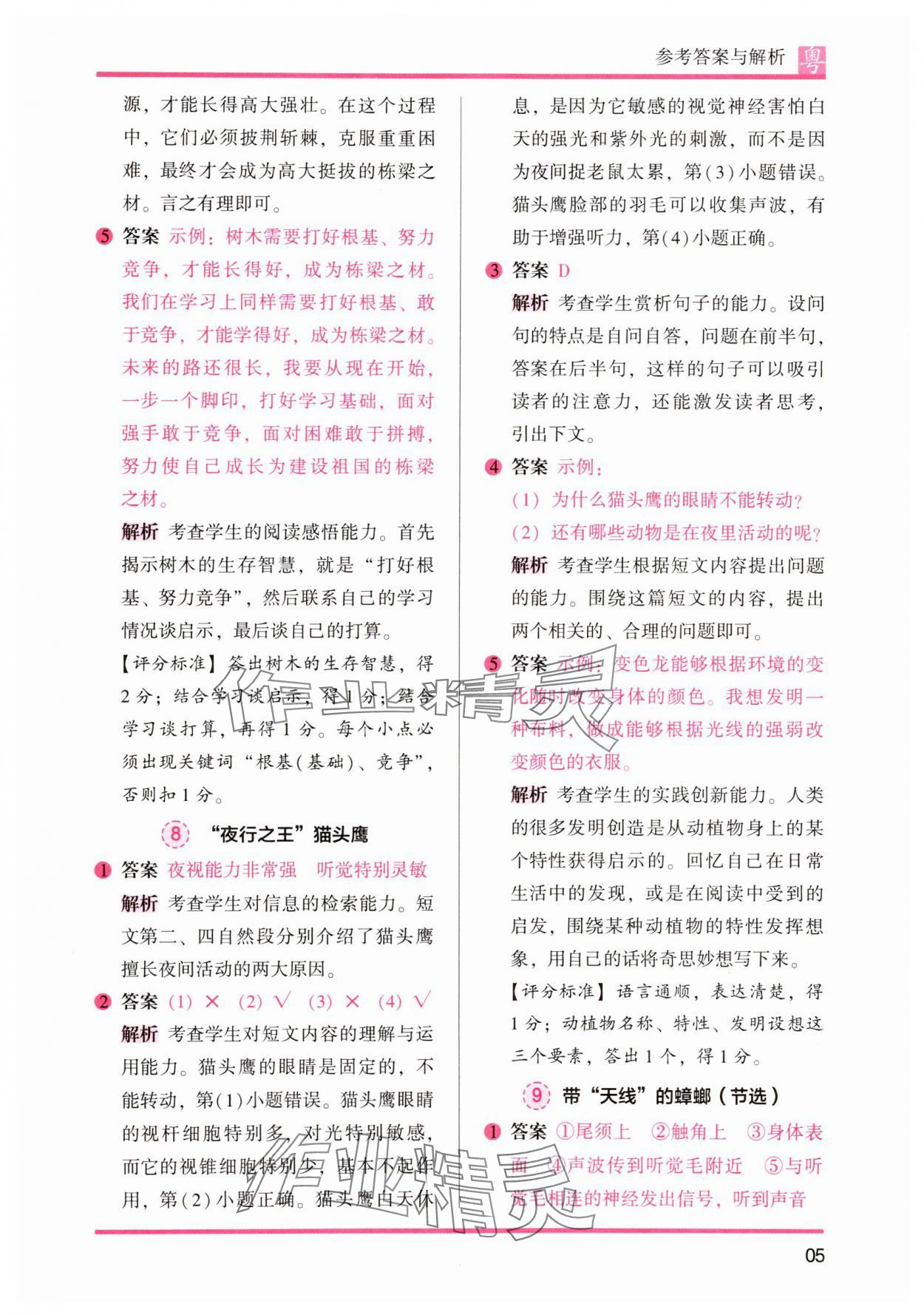 2025年木頭馬閱讀力測評小學(xué)語文四年級人教版培優(yōu)篇A版廣東專版 第5頁