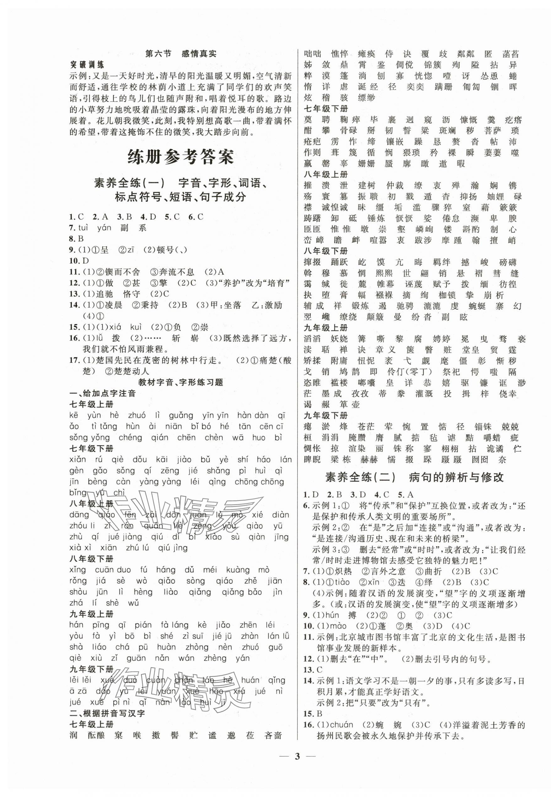 2025年中考優(yōu)品學(xué)案語(yǔ)文 第3頁(yè)