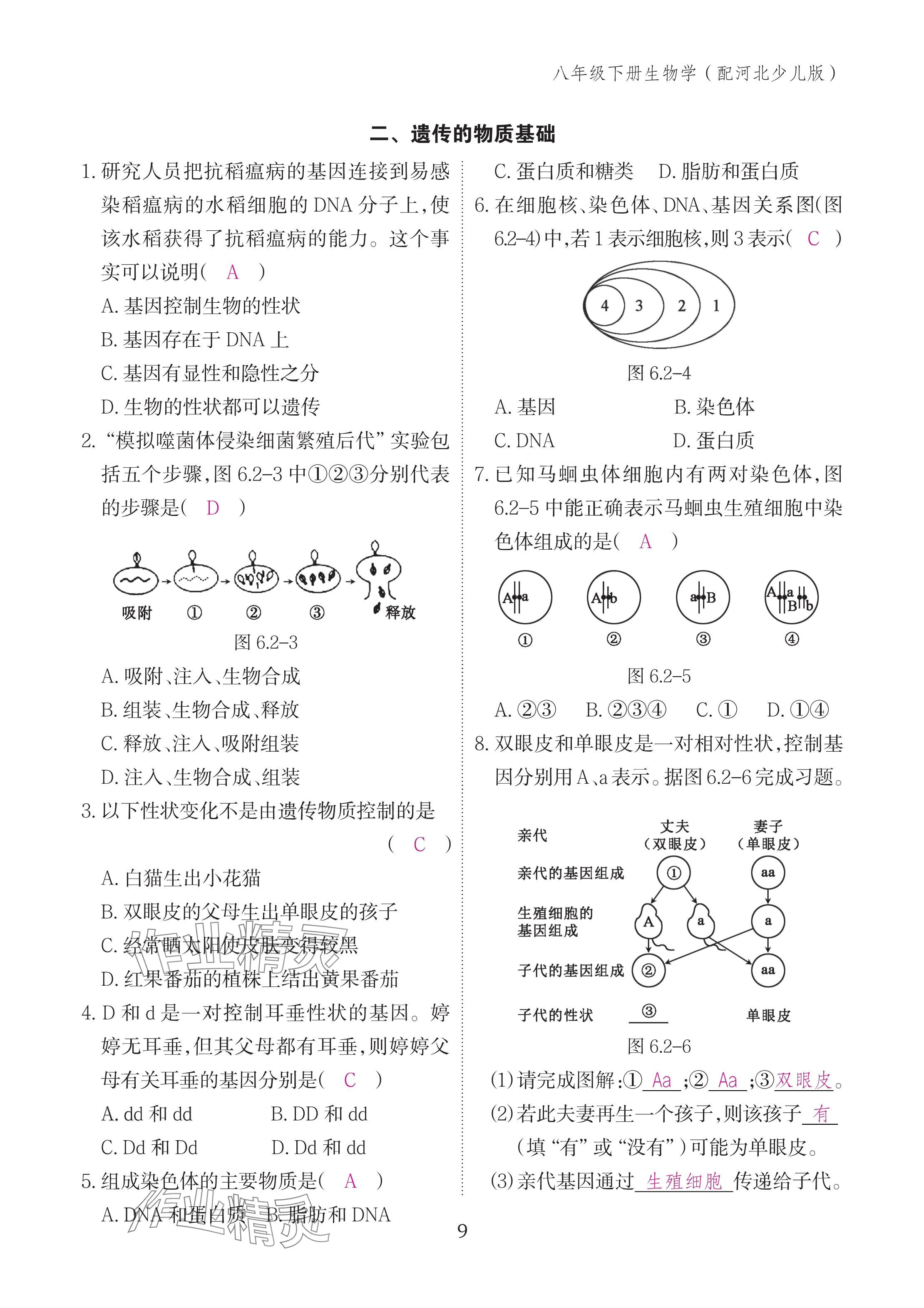 2025年作業(yè)本江西教育出版社八年級生物下冊冀少版 參考答案第9頁