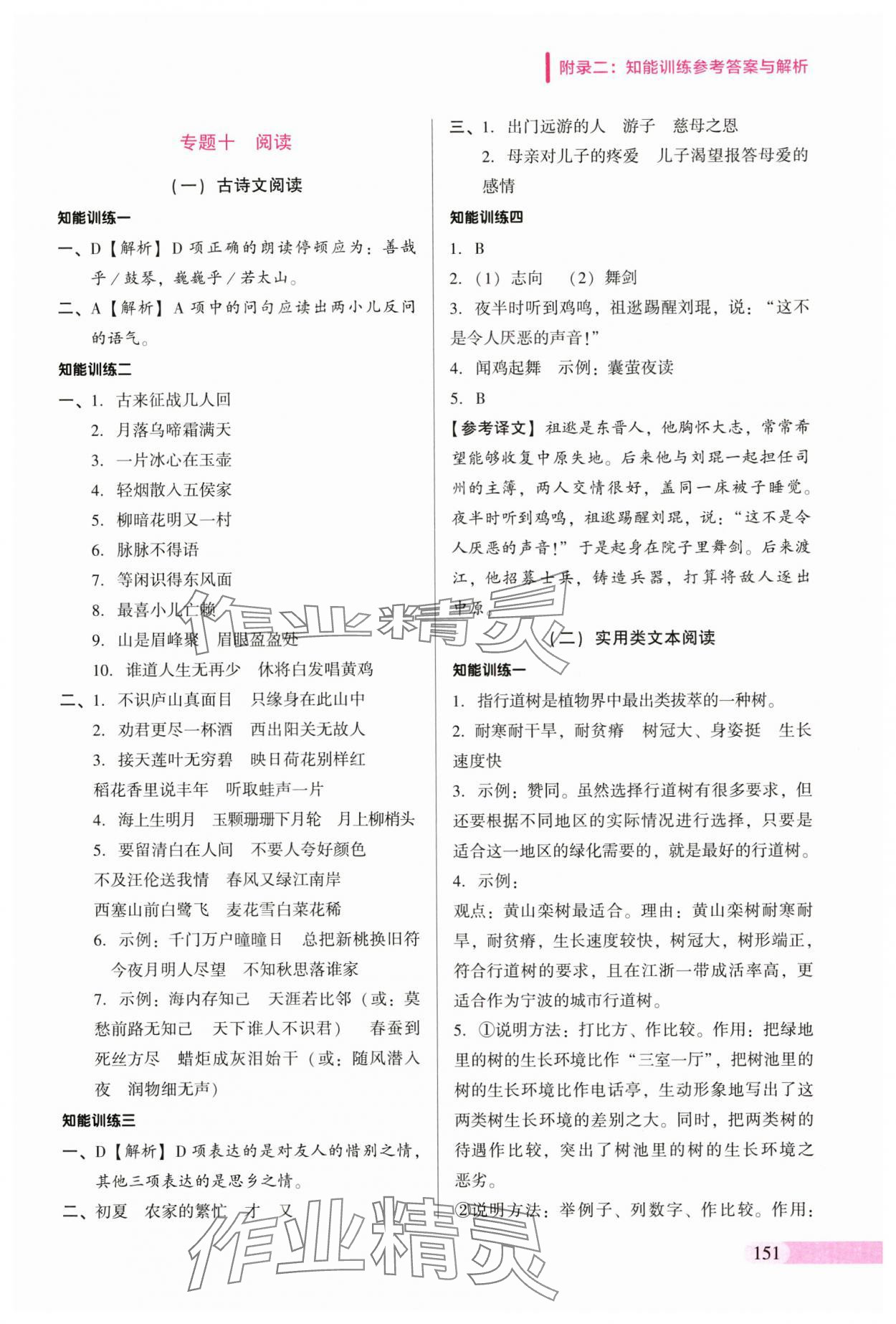 2025年小升初名师帮你总复习语文 参考答案第5页