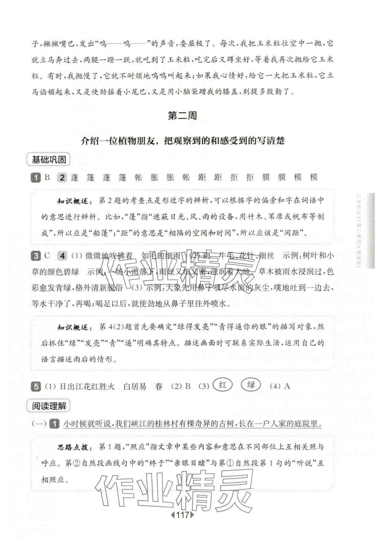 2024年华东师大版一课一练三年级语文下册人教版增强版五四制 参考答案第3页