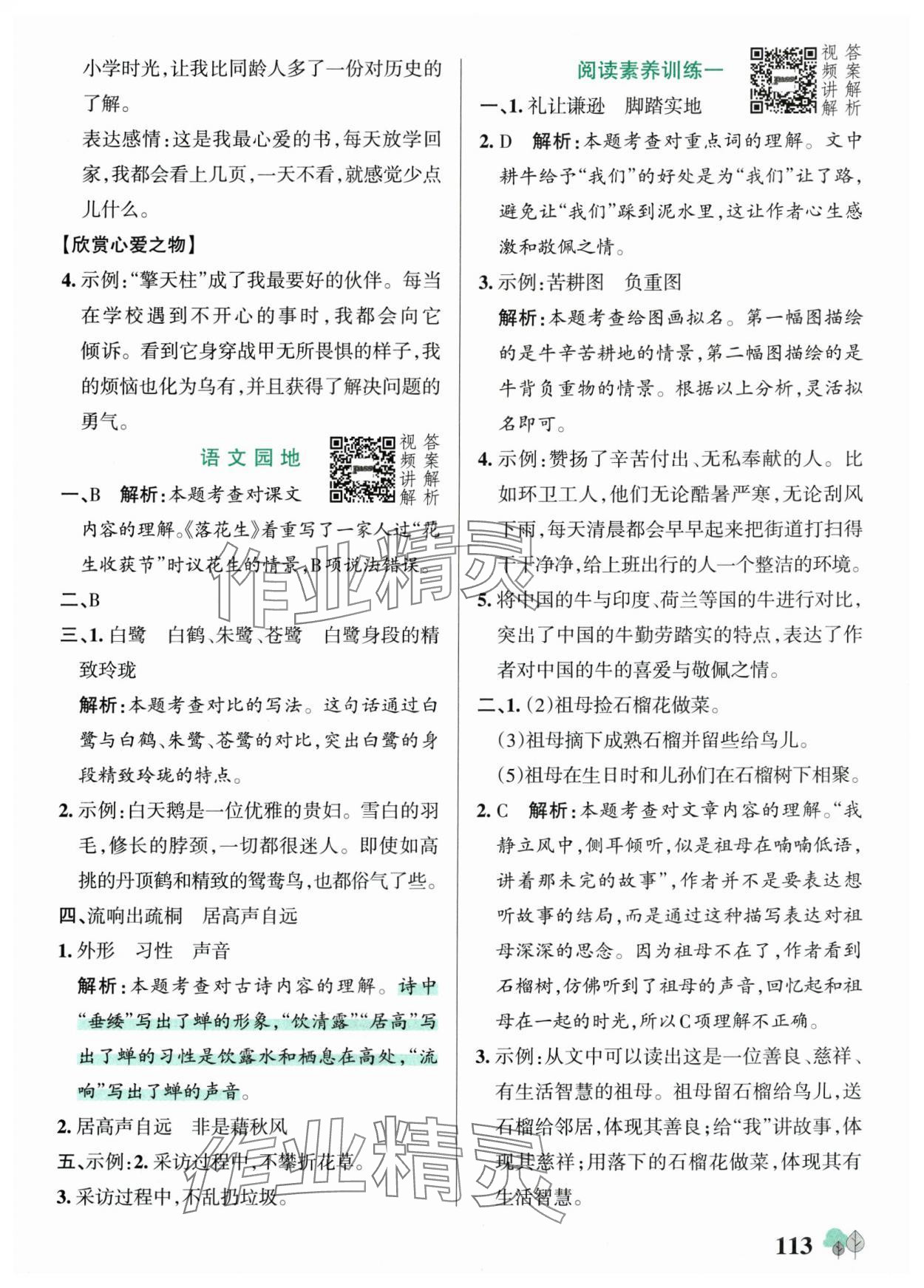 2025年绿卡提优特训五年级语文上册人教版江苏专版&nbsp;第5页