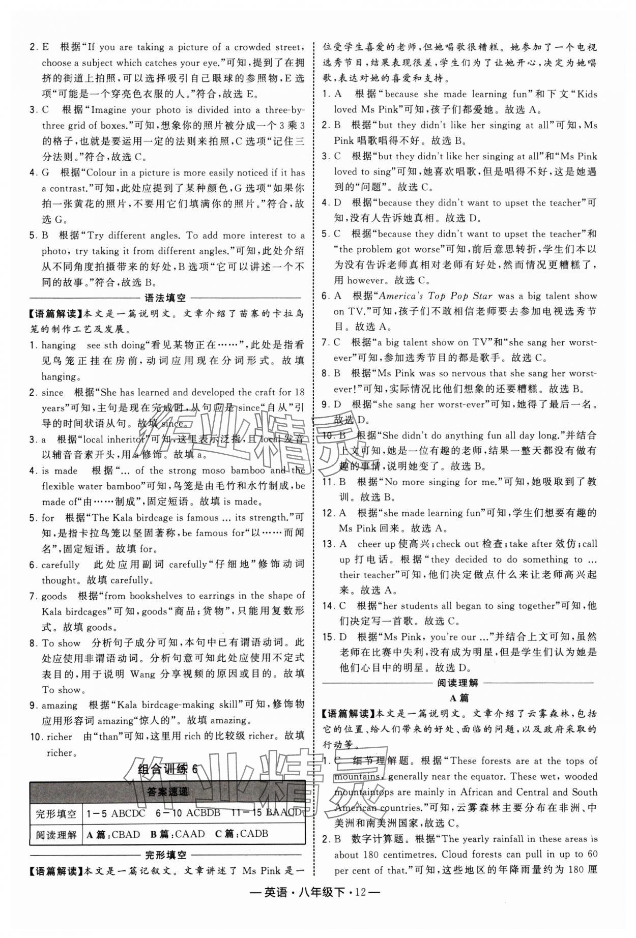 2025年學(xué)霸組合訓(xùn)練八年級英語下冊譯林版 第12頁