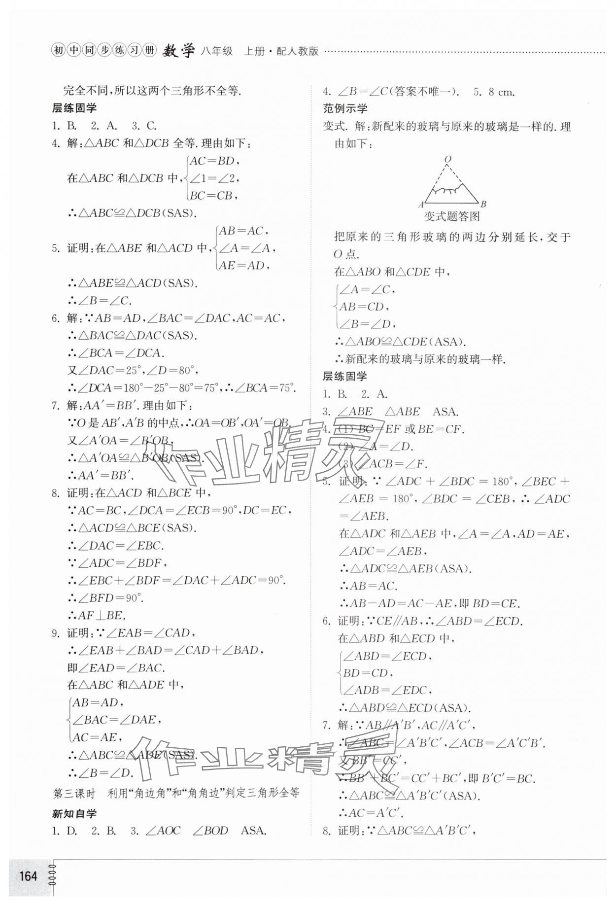 2024年同步練習(xí)冊山東教育出版社八年級數(shù)學(xué)上冊人教版 第6頁