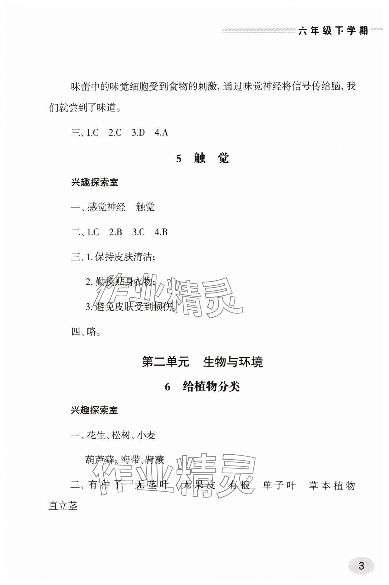 2025年新課堂學習與探究六年級科學下冊青島版 參考答案第3頁