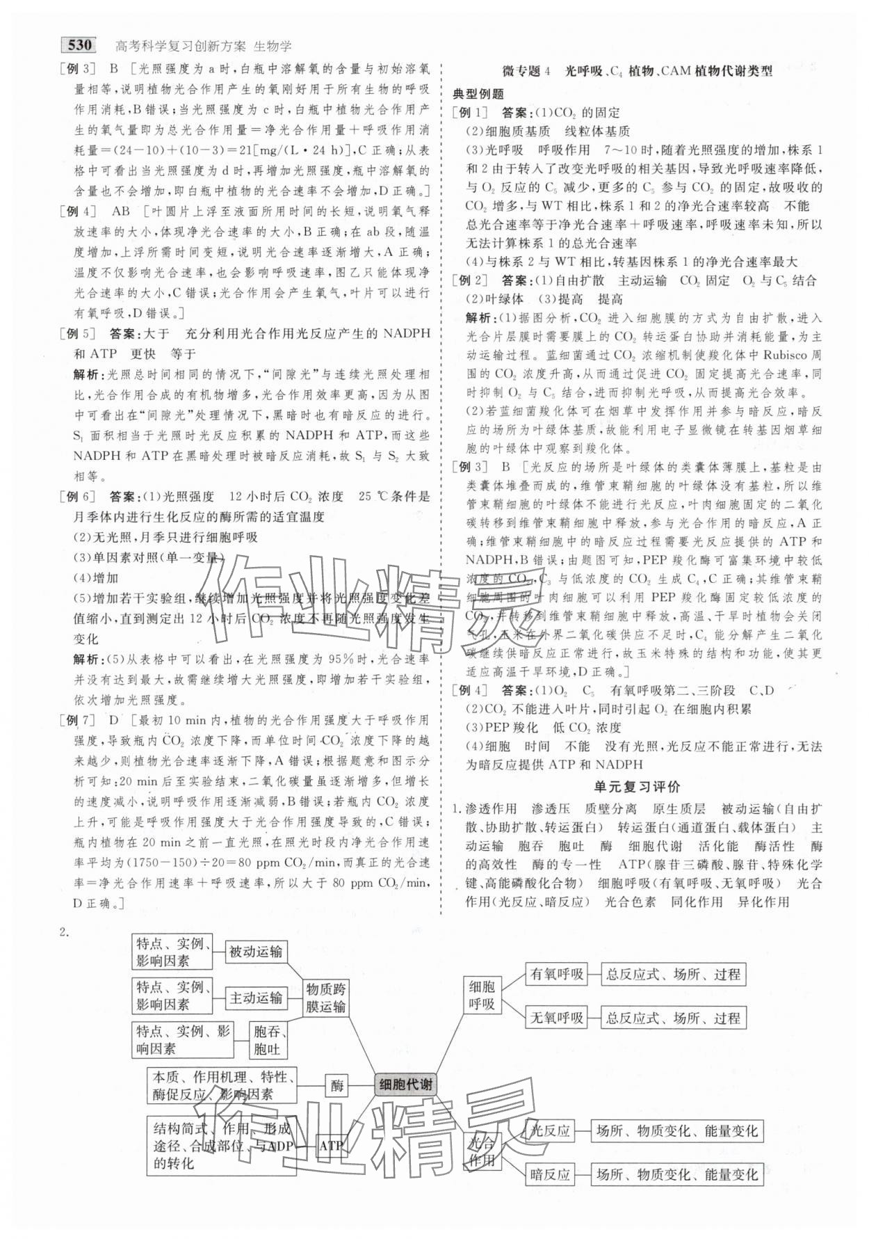 2025年金版教程高考科學復習解決方案生物創(chuàng)新版 第16頁