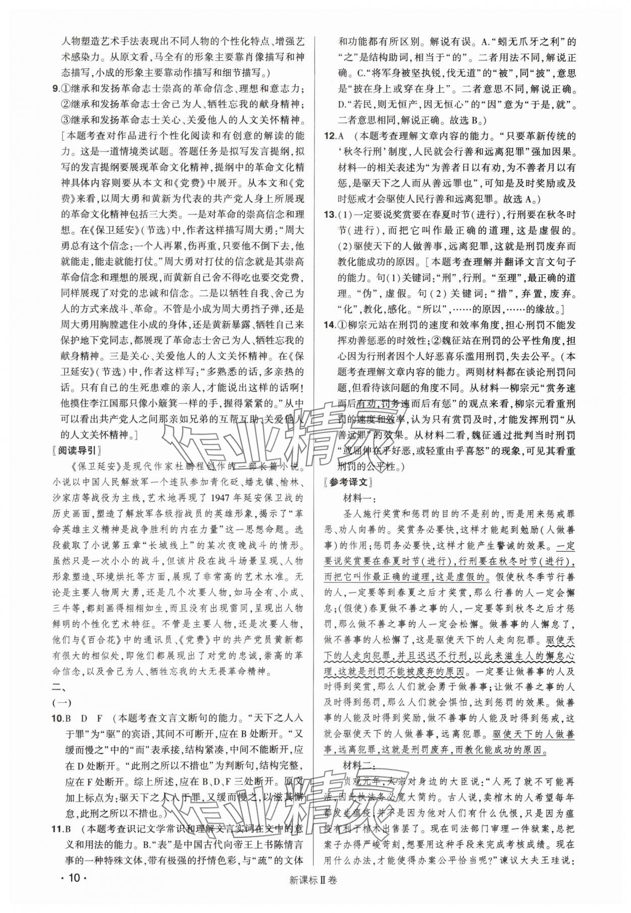2025年高考語文核按鈕綜合訓(xùn)練Ⅱ卷 第10頁